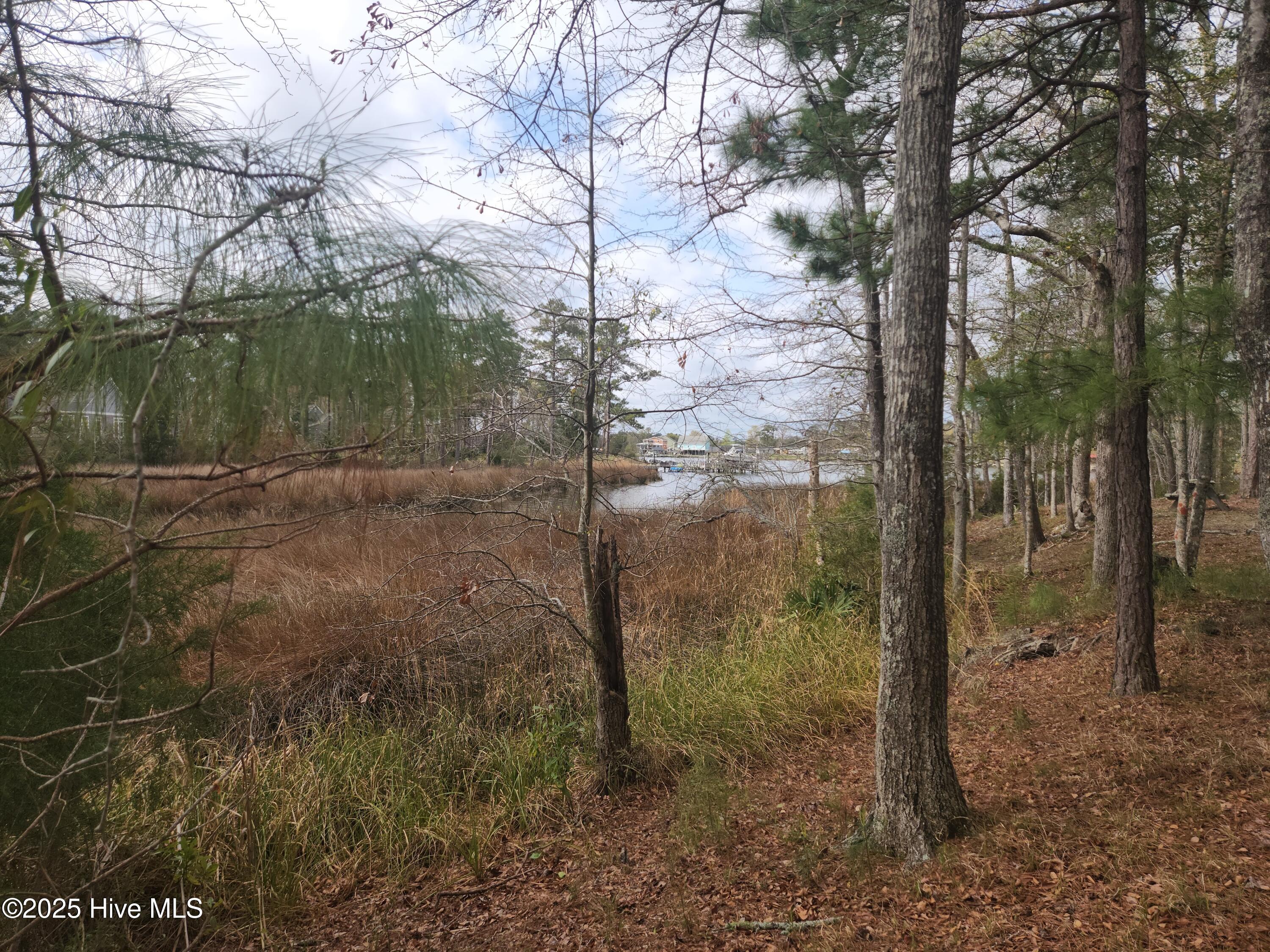 960 Southern Plantation Drive Property Photo 5