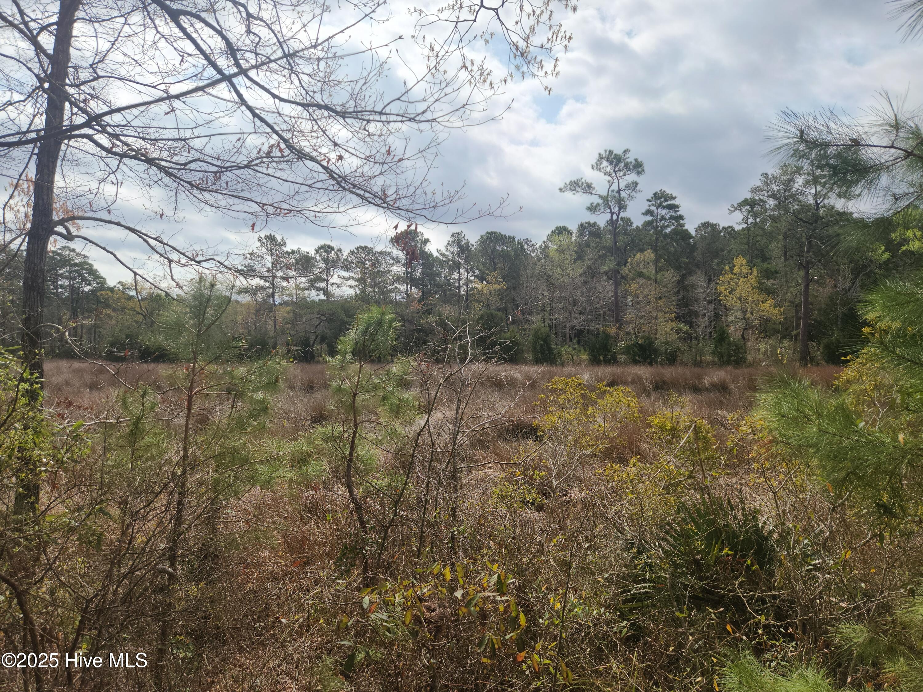 960 Southern Plantation Drive Property Photo 6