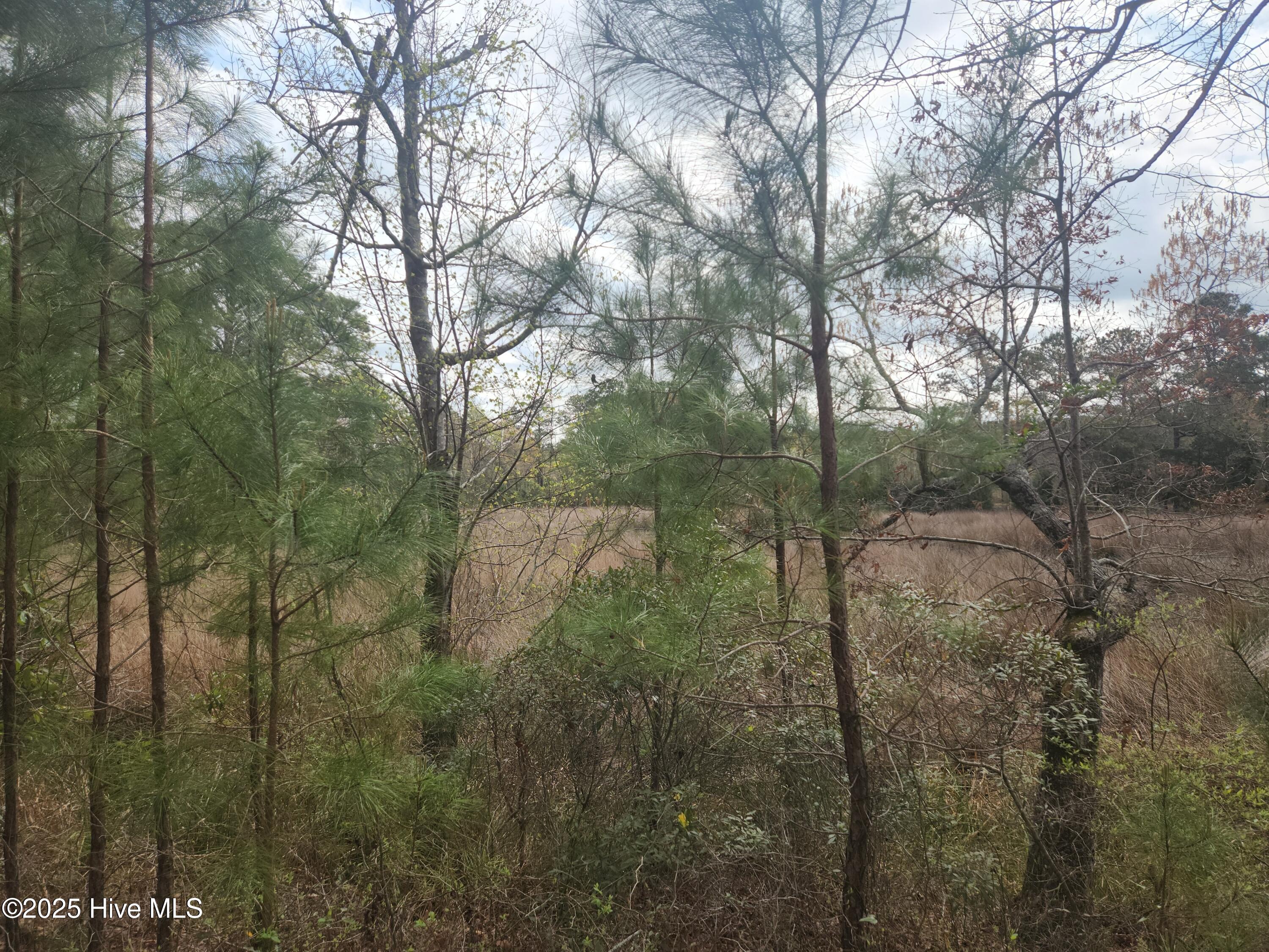960 Southern Plantation Drive Property Photo 7