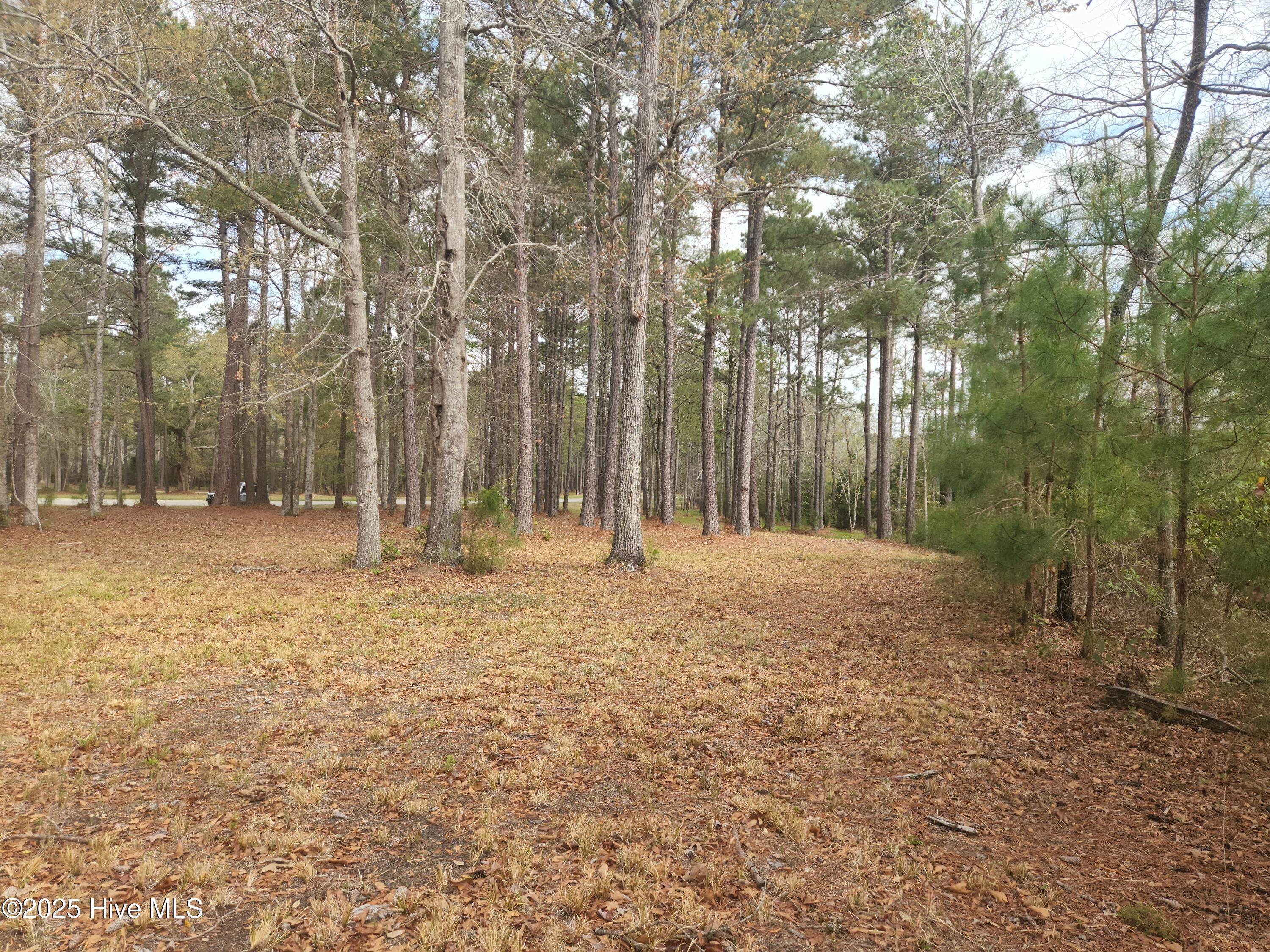 960 Southern Plantation Drive Property Photo 8