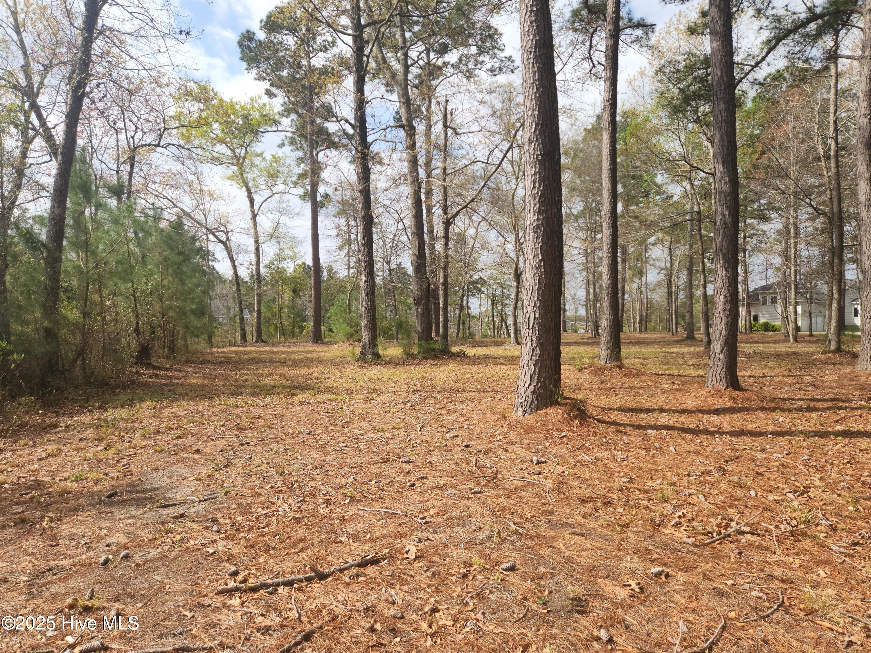 960 Southern Plantation Drive Property Photo 9