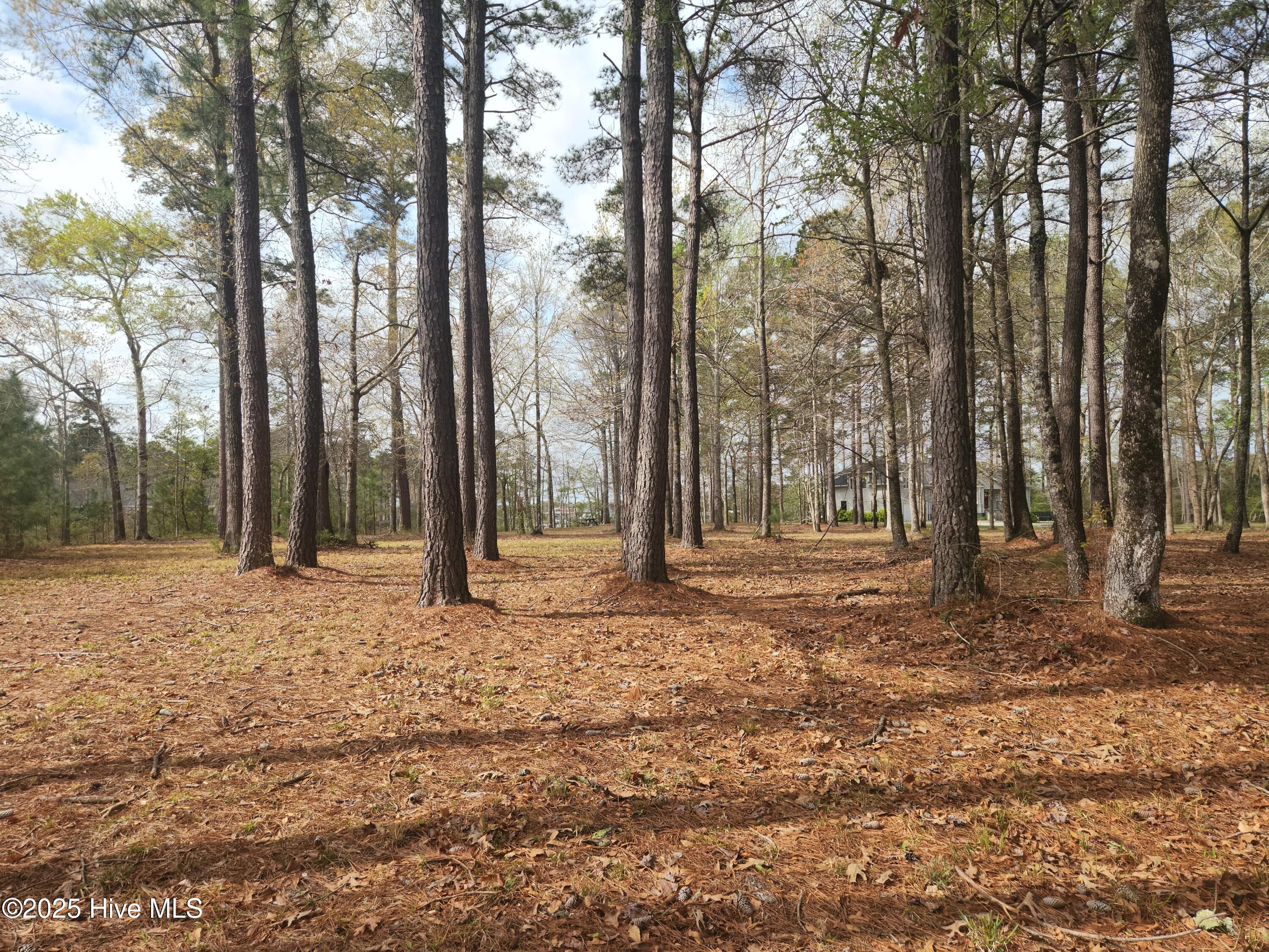 960 Southern Plantation Drive Property Photo 10