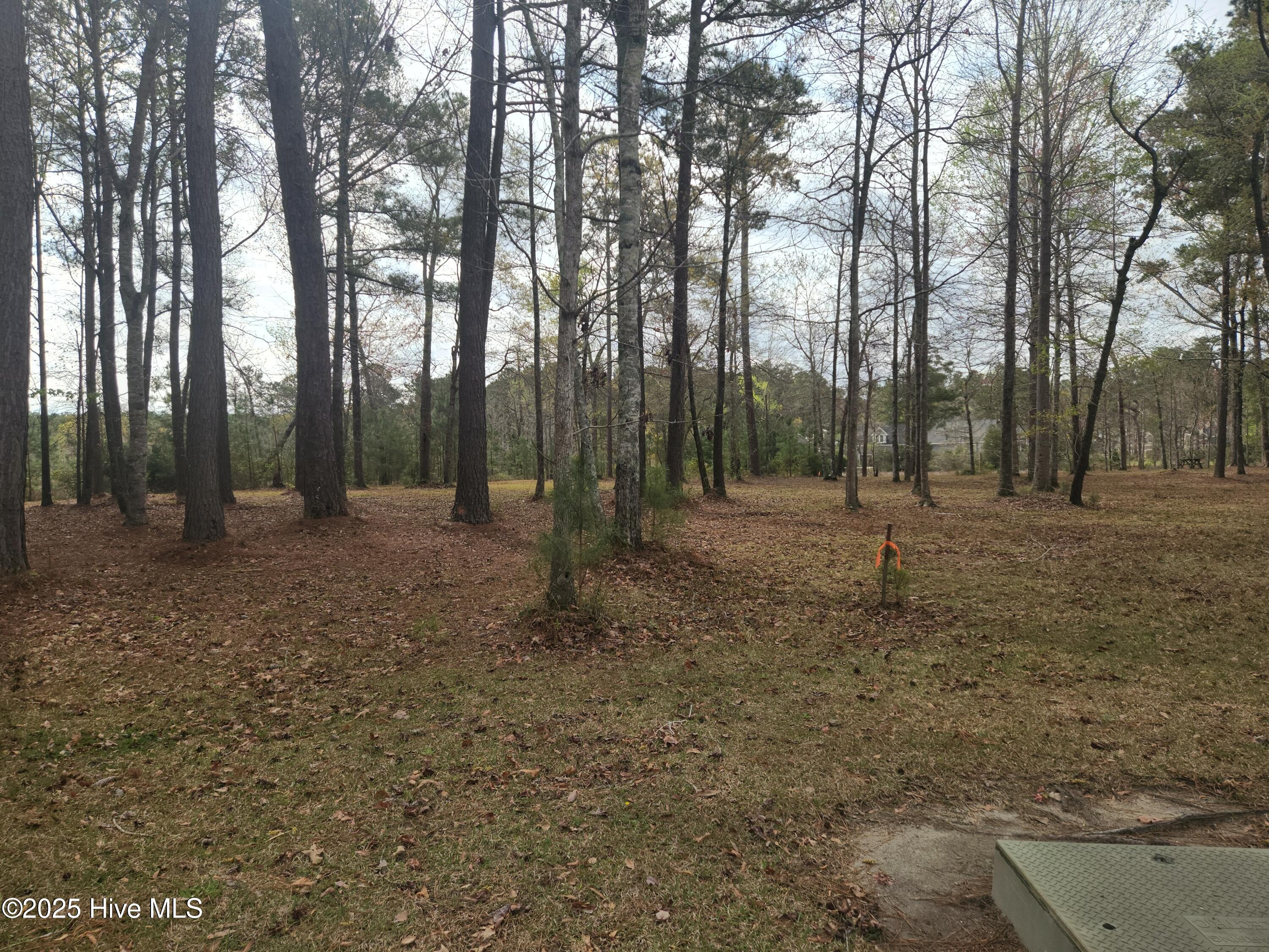 960 Southern Plantation Drive Property Photo 13