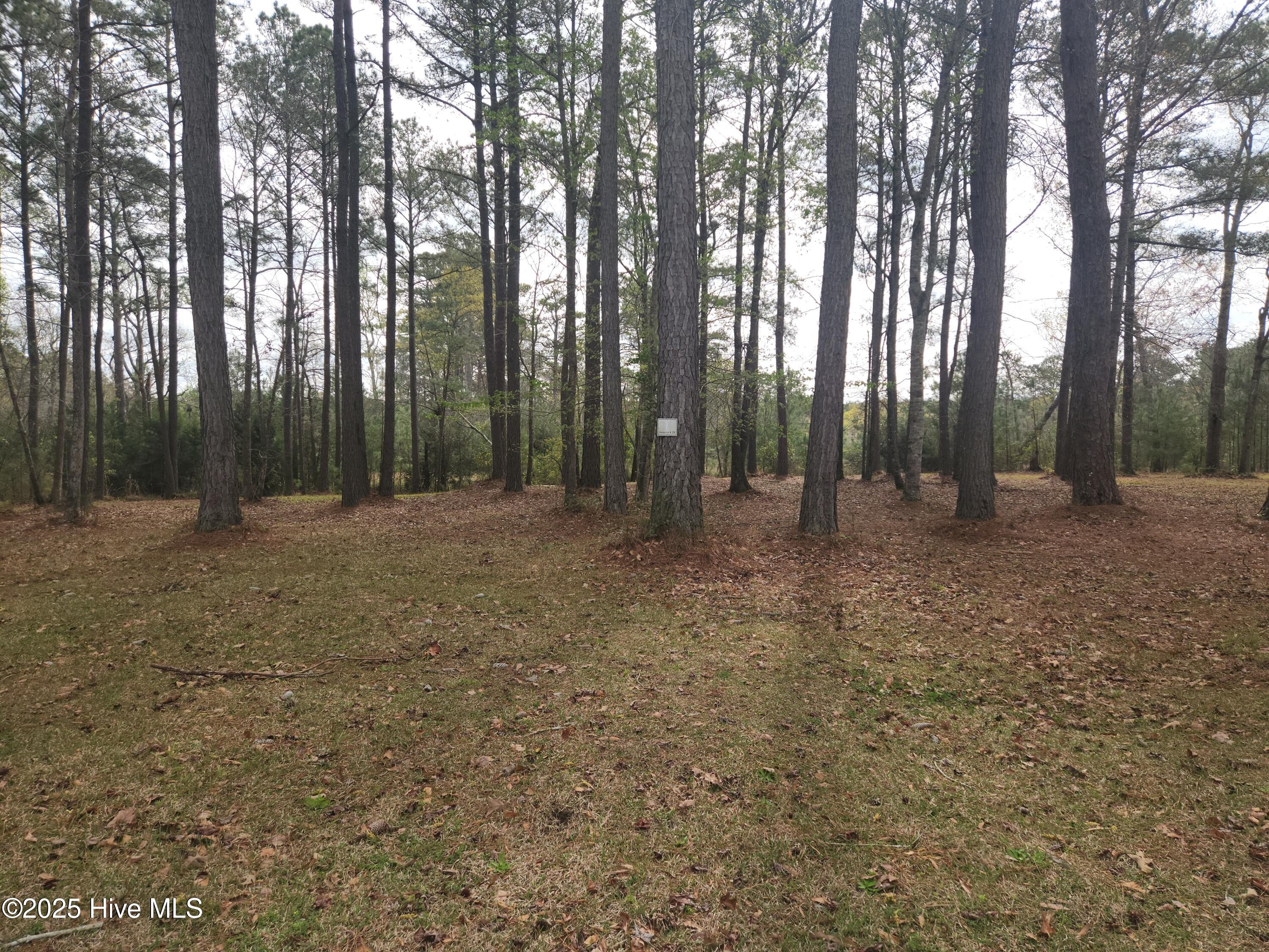 960 Southern Plantation Drive Property Photo 14