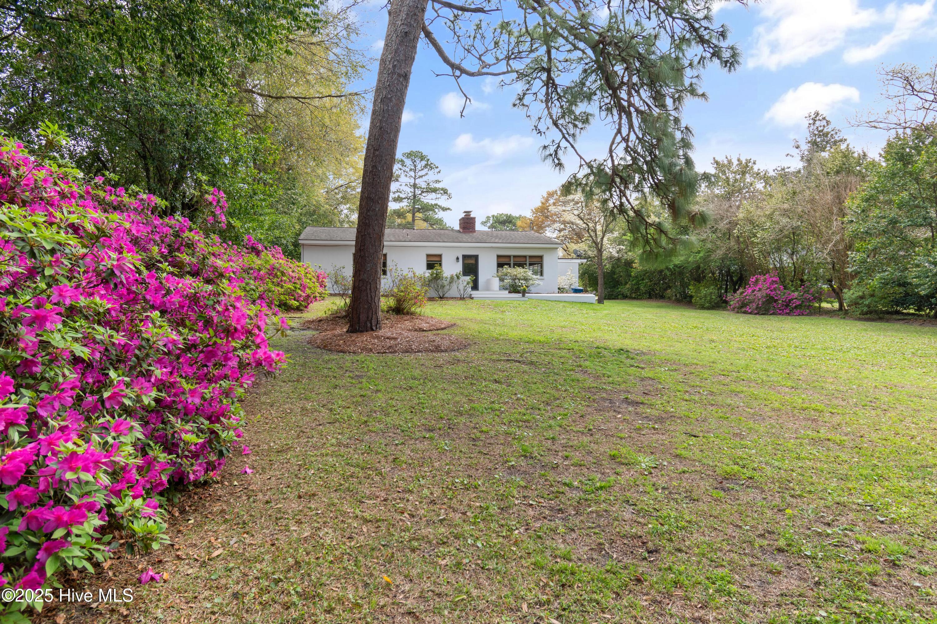 4719 Long Leaf Hills Drive Property Photo 6