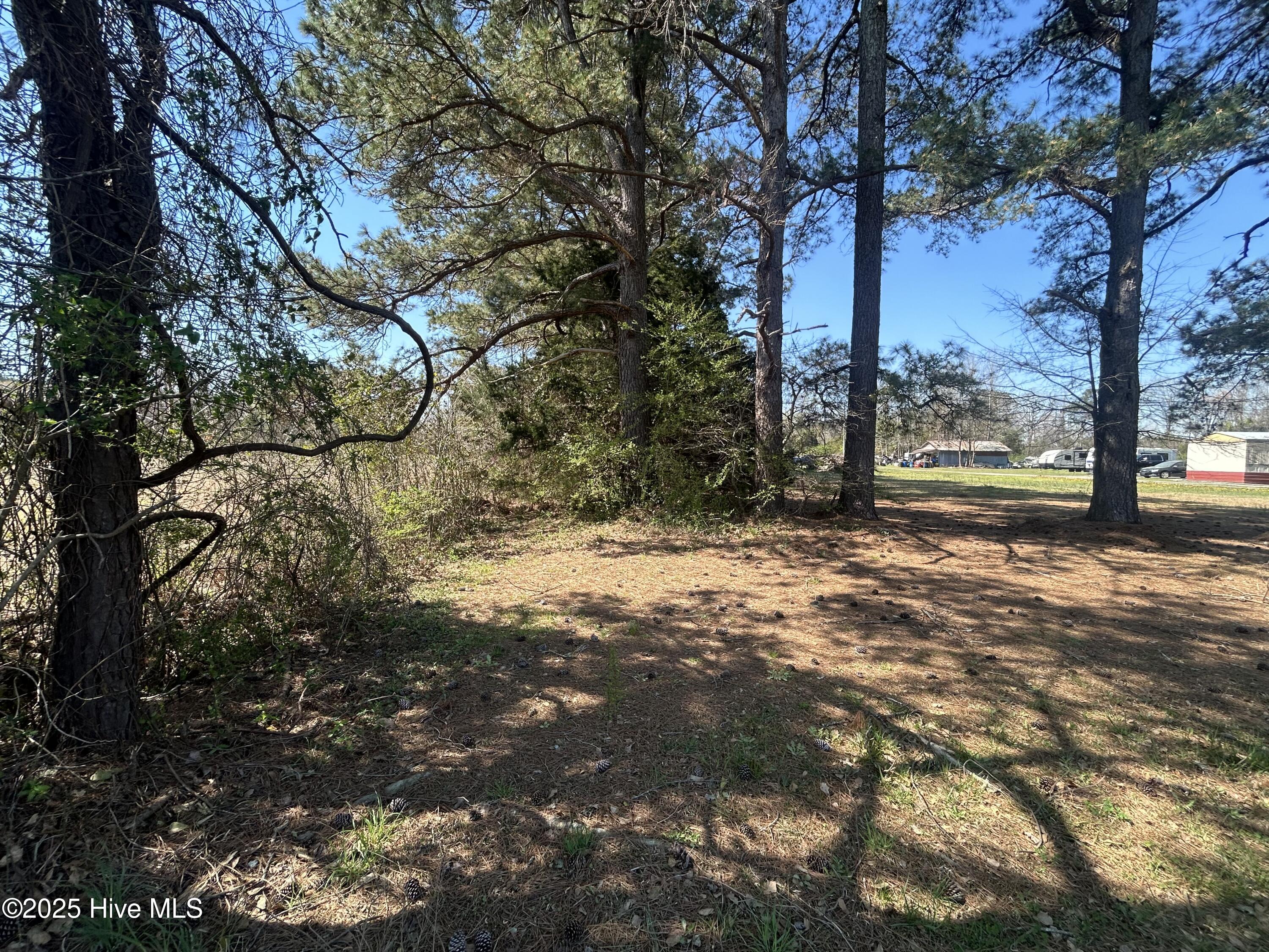 3 Us Hwy 117 N Property Photo 3