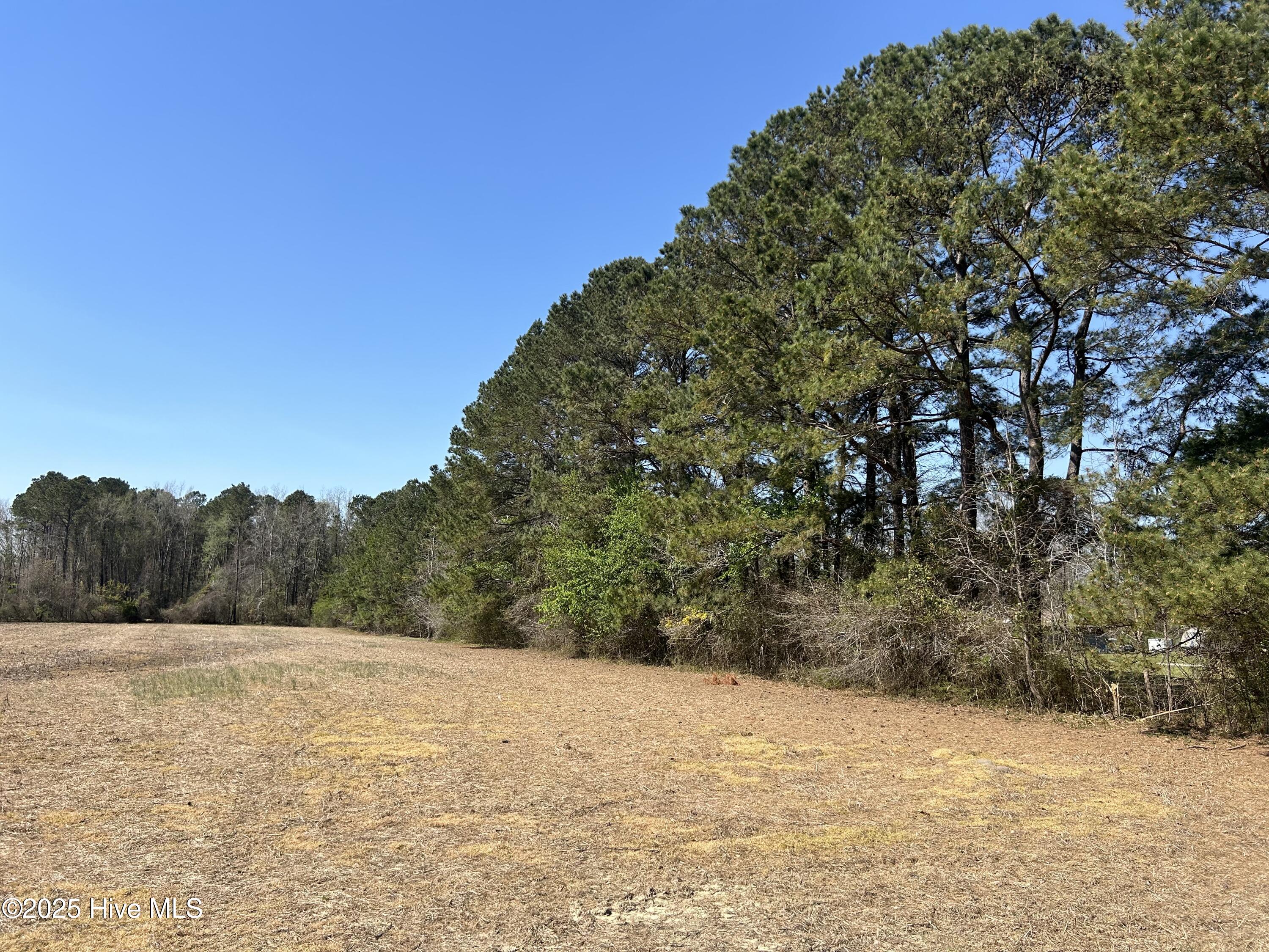 3 Us Hwy 117 N Property Photo 5