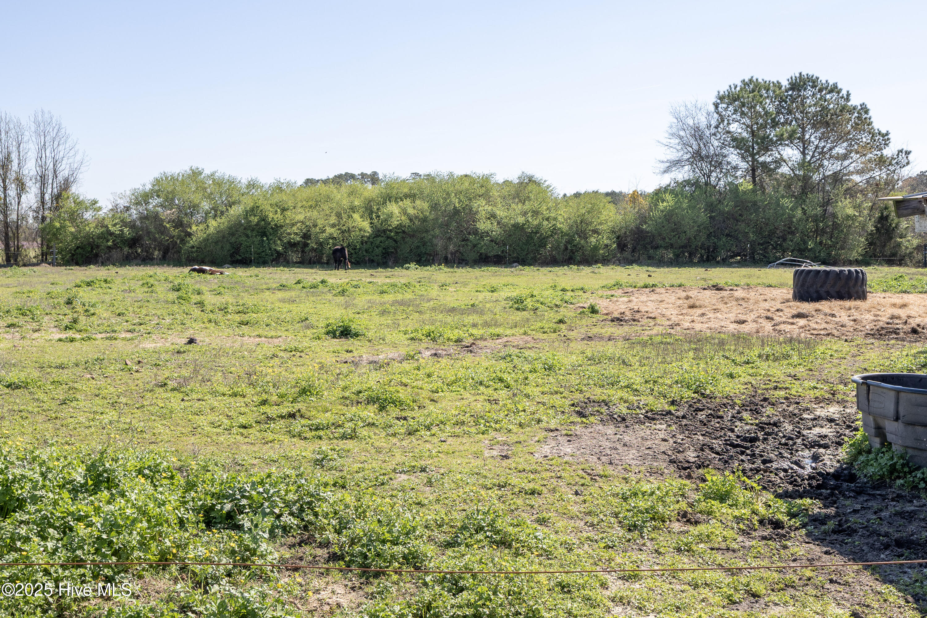 1539 Old Us 701 Highway Property Photo 4