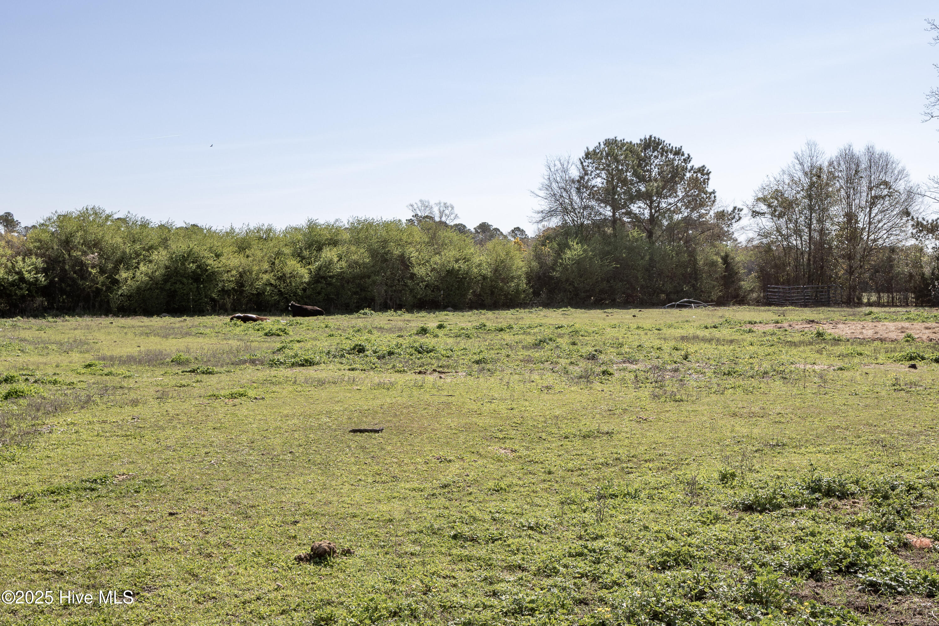1539 Old Us 701 Highway Property Photo 28