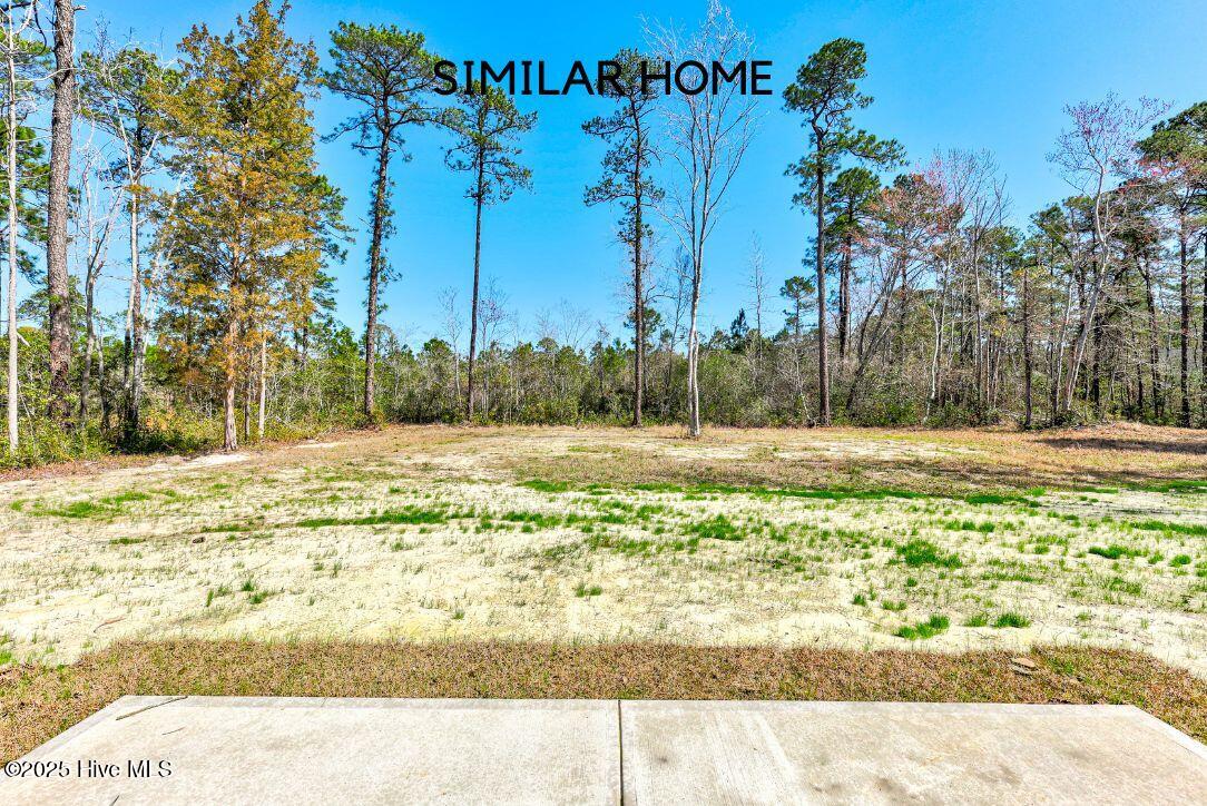 193 Woodyard Drive Property Photo 35