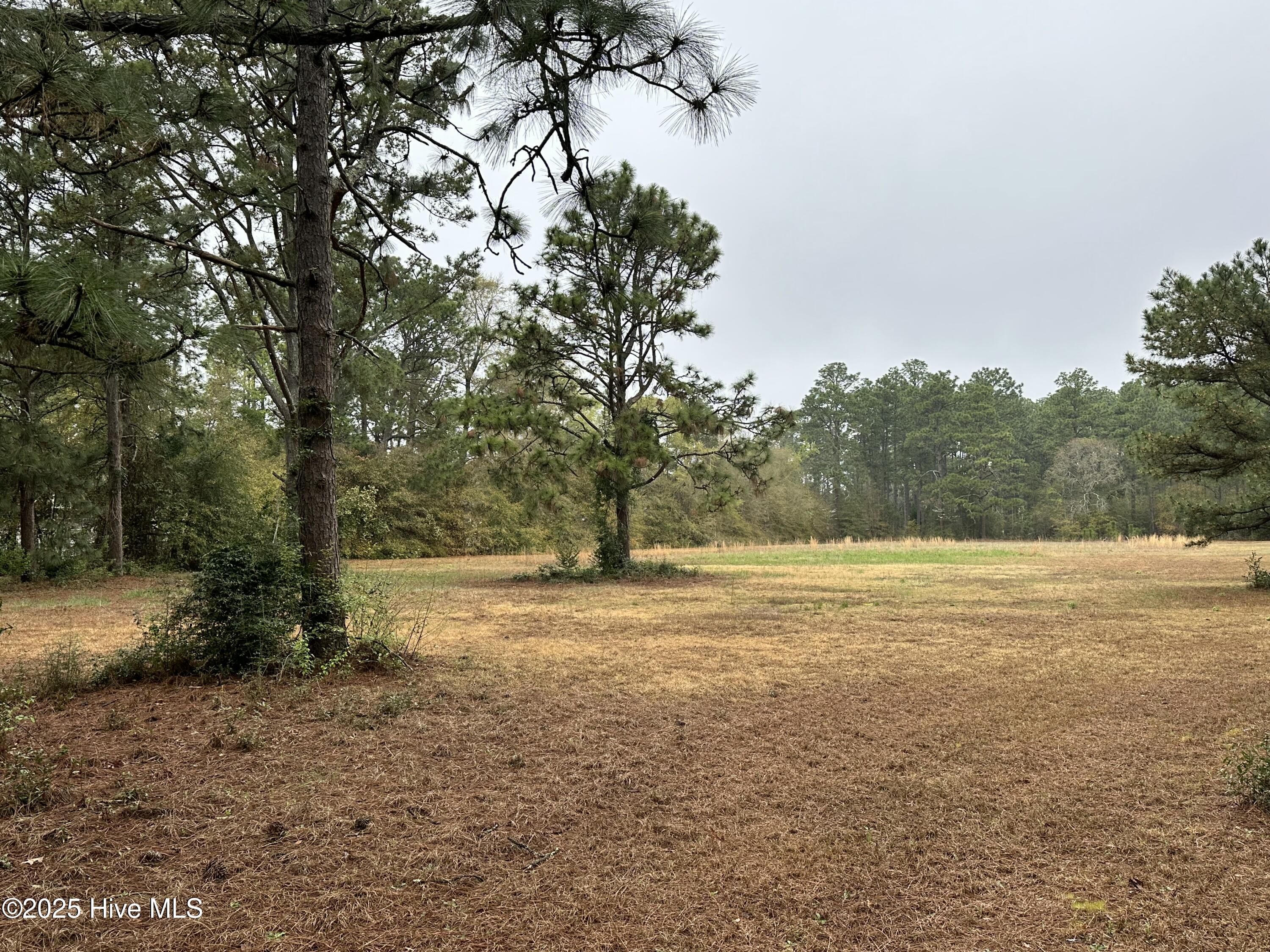 100498486 Property Photo