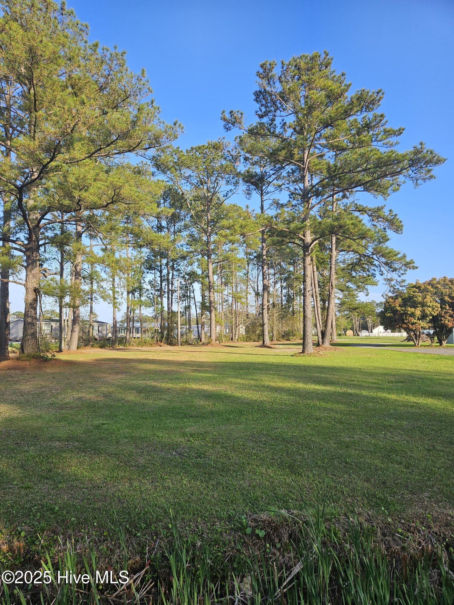 Tbd Thomasboro Road Property Photo 1