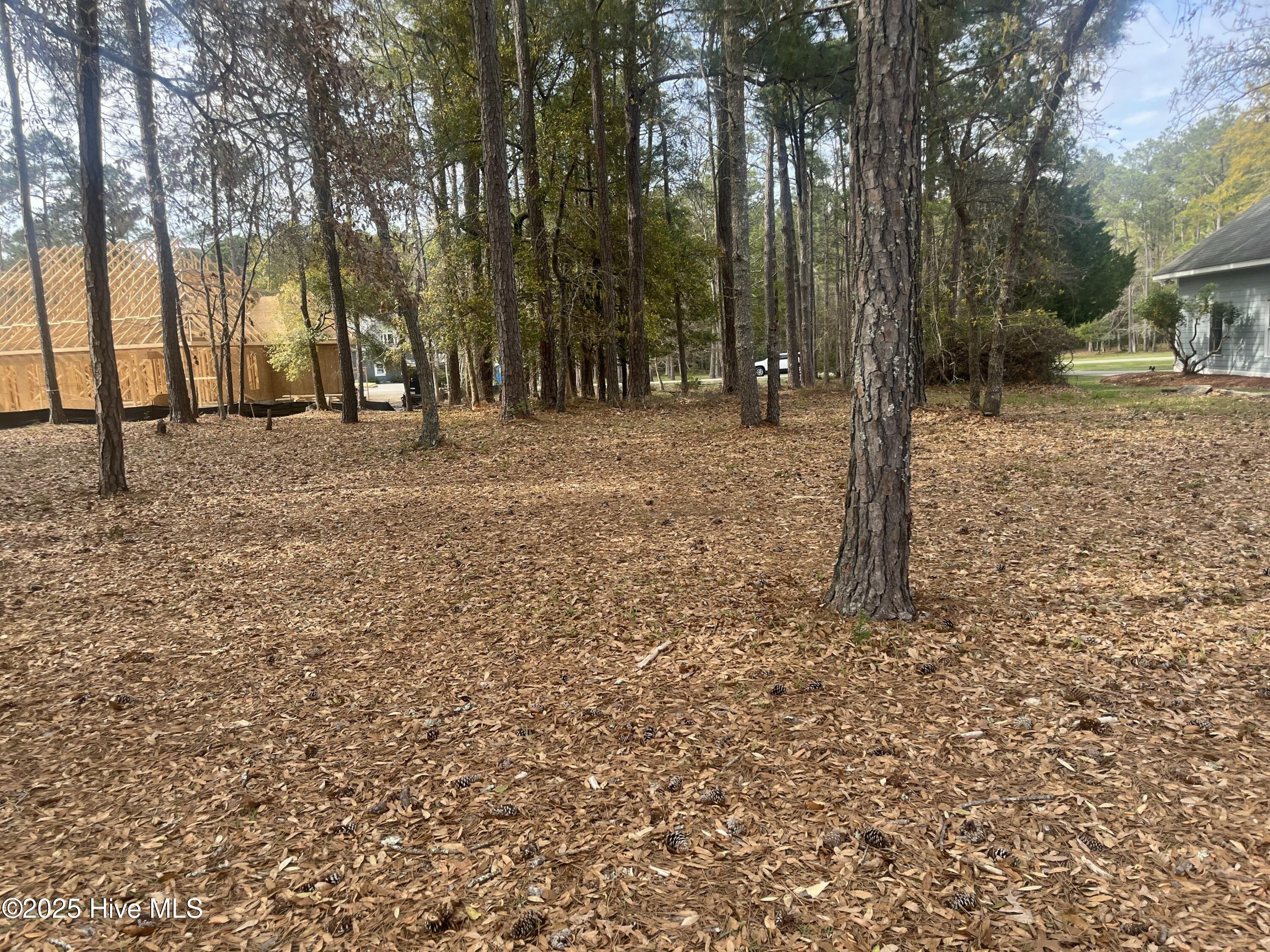 359 Genoes Point Road Property Photo 6