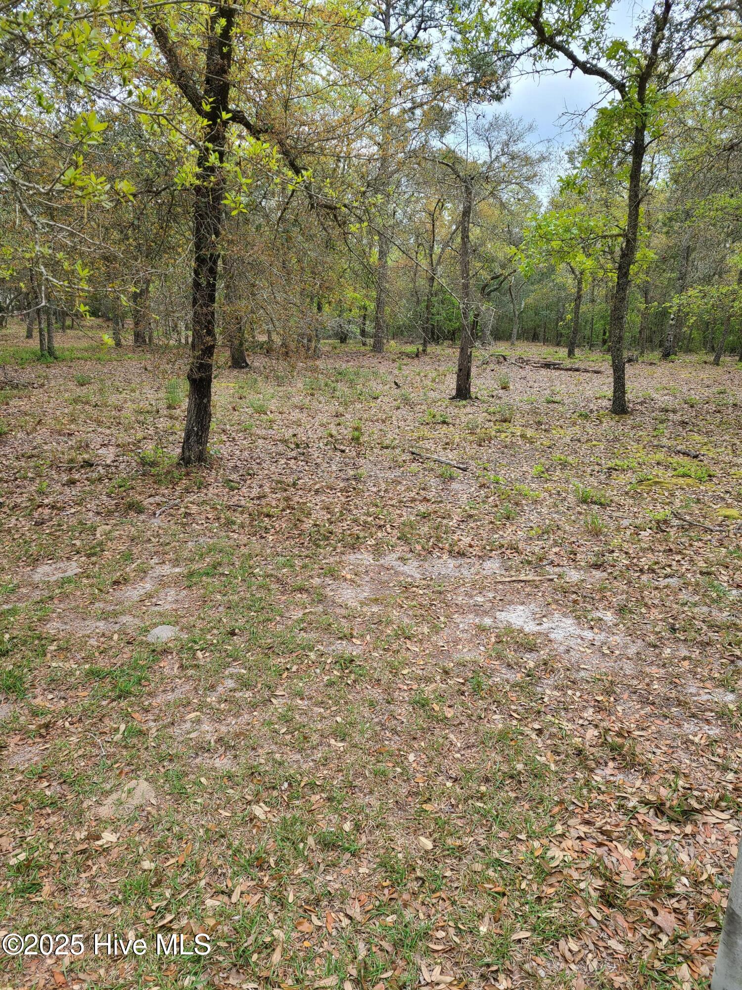 3543 Concordia Avenue Property Photo 3
