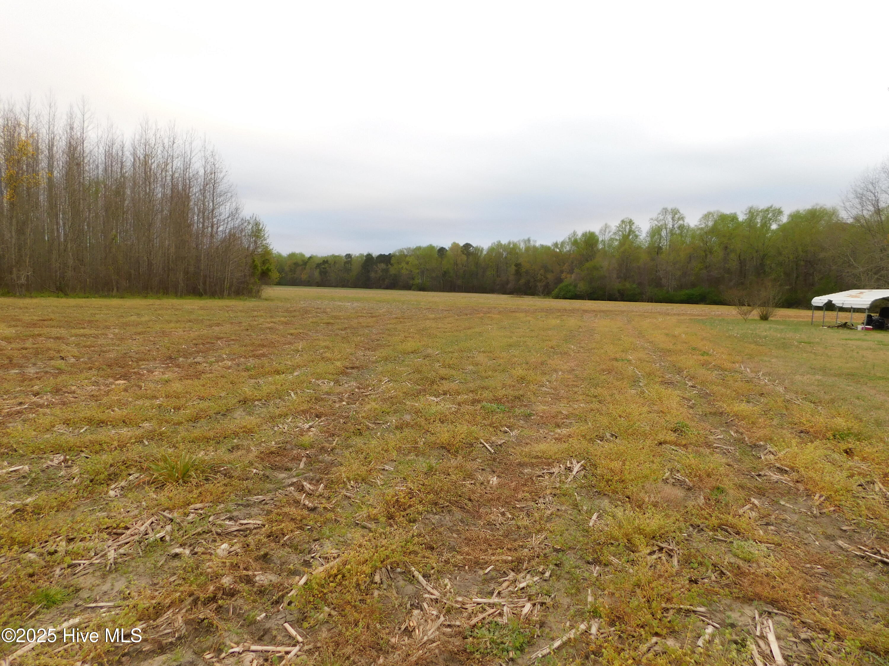 00 Beech Springs Road Property Photo