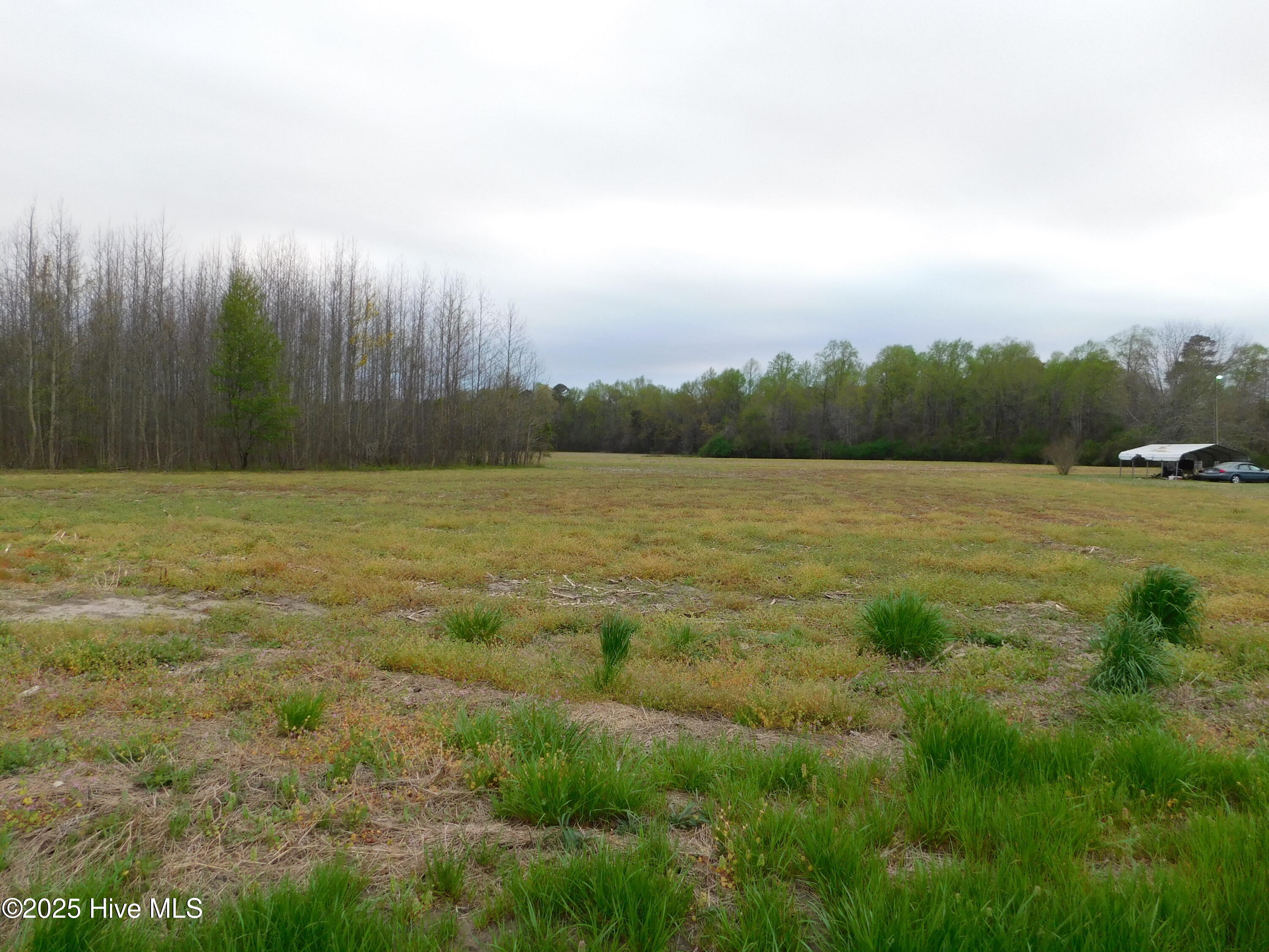 00 Beech Springs Road Property Photo 2
