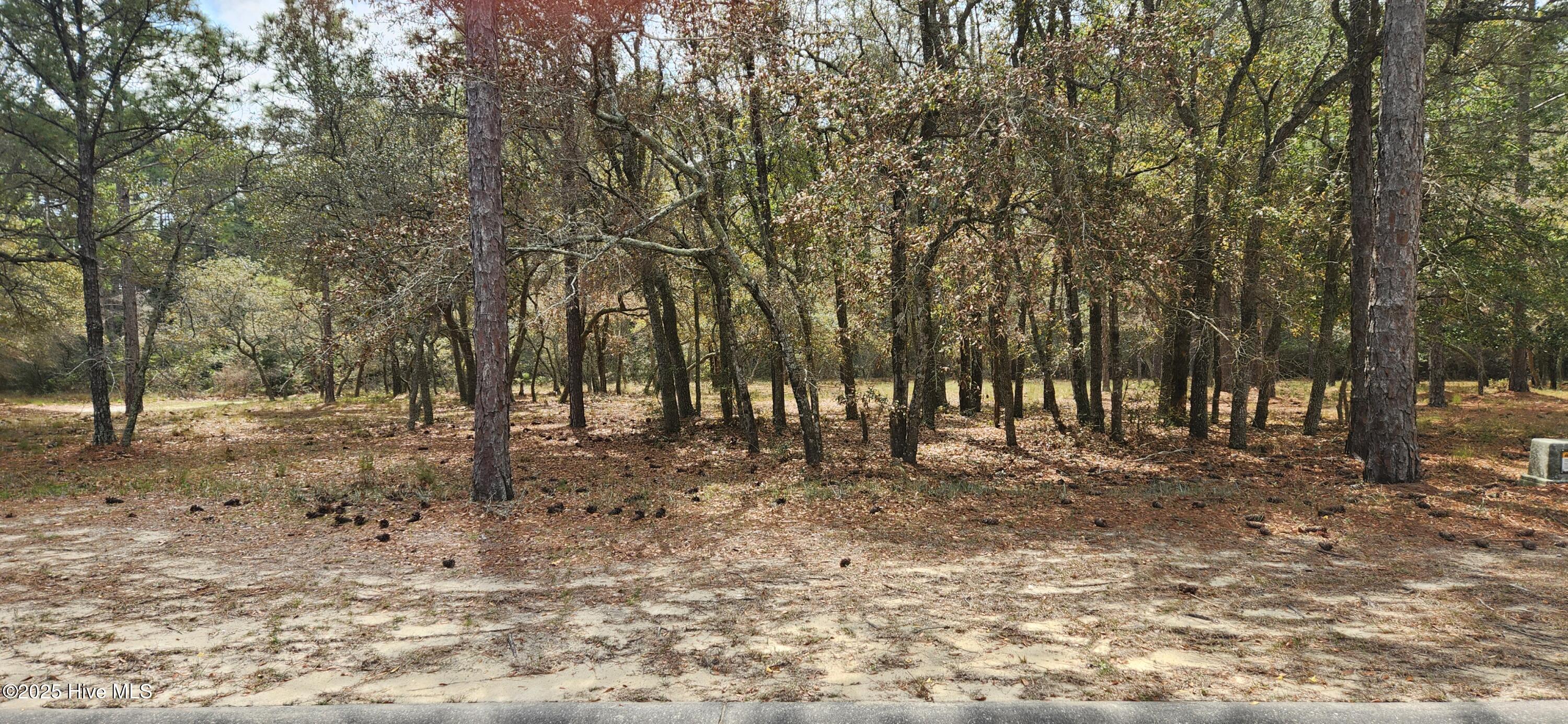 3611 Concordia Avenue Property Photo 2