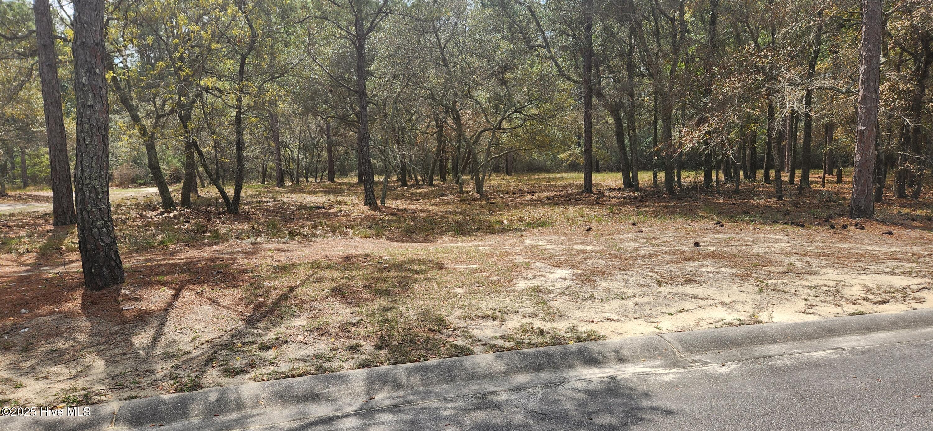 3611 Concordia Avenue Property Photo 3