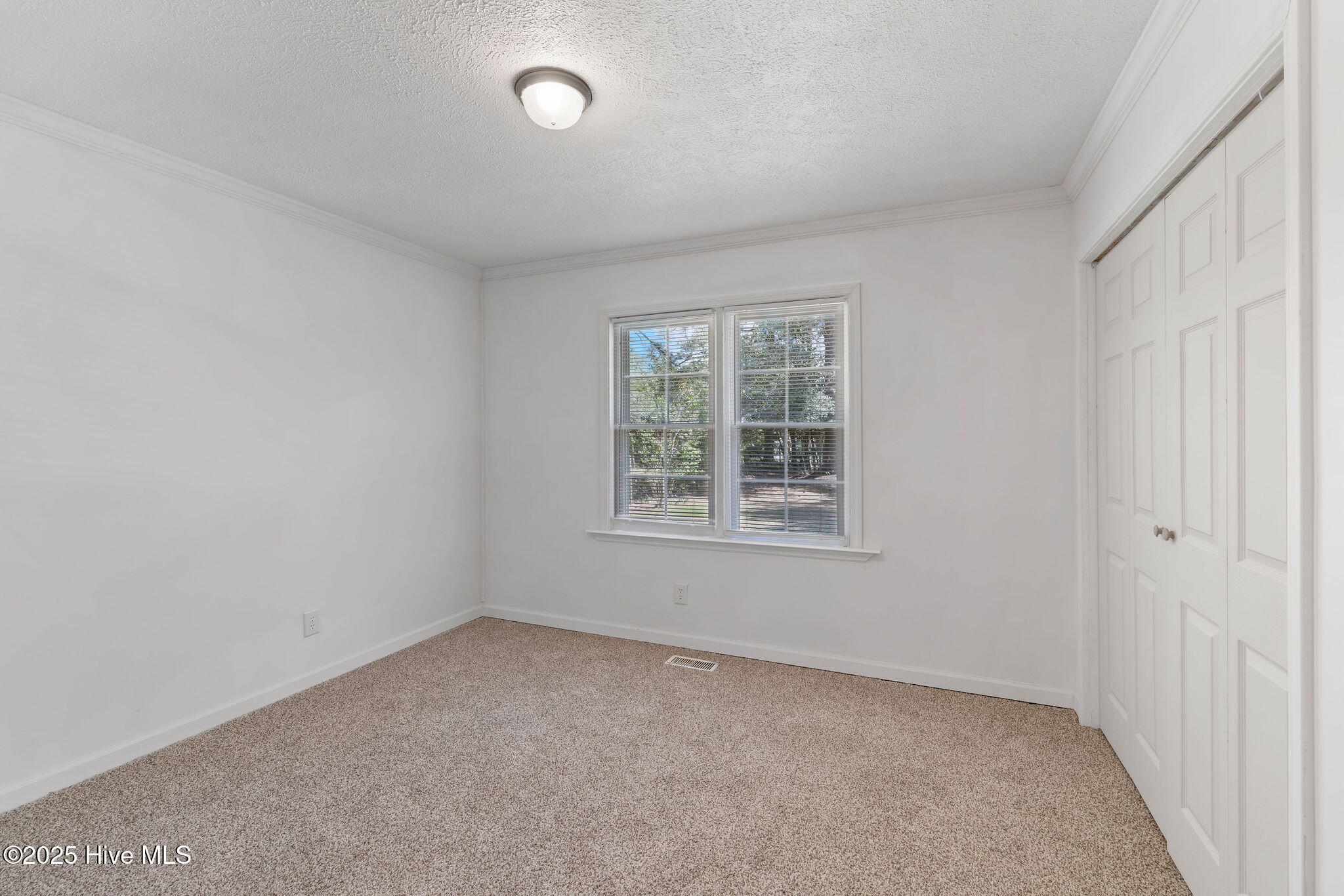 810 Franklin Street Property Photo 12