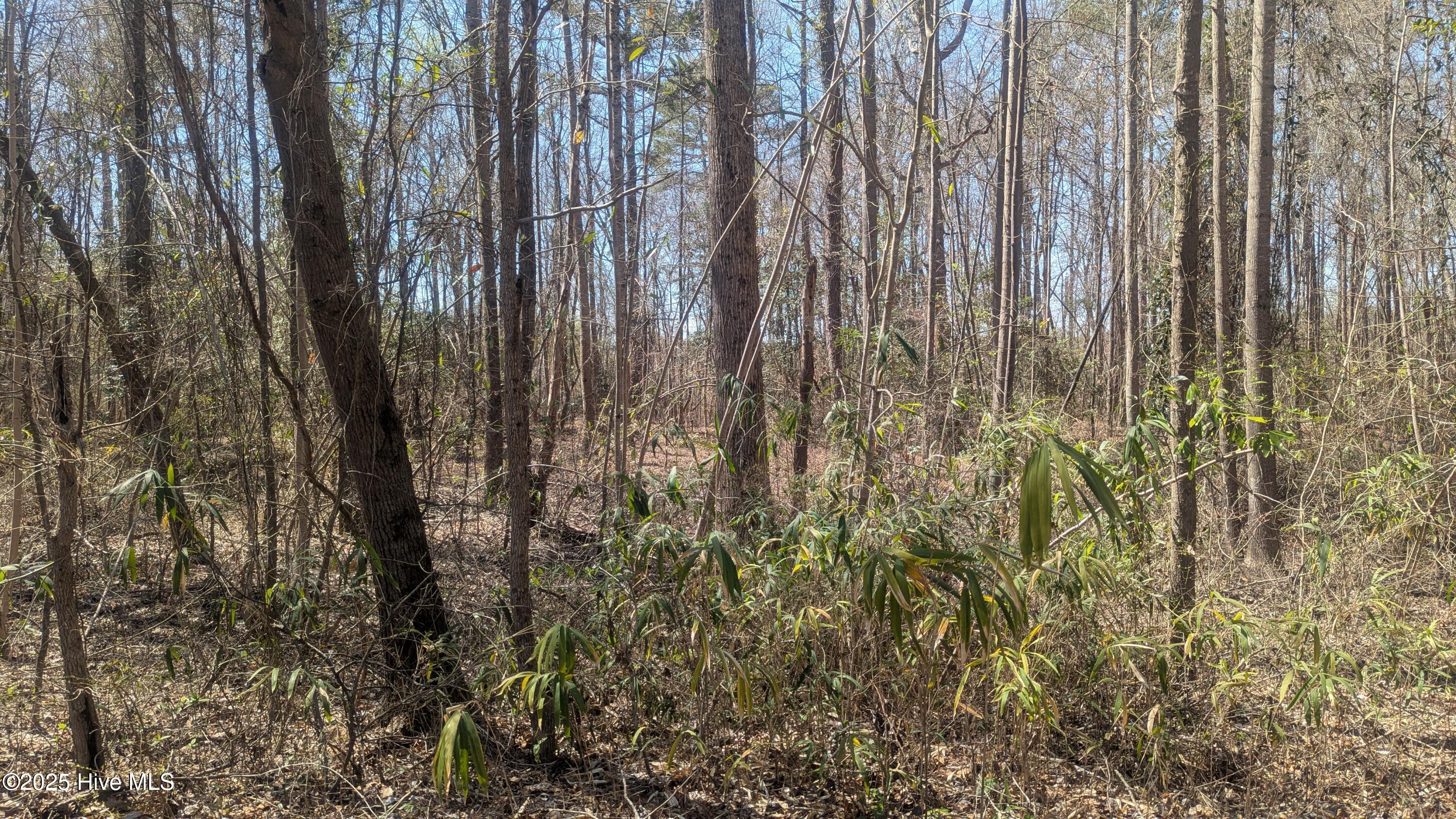 0 Mourning Dove Drive Property Photo