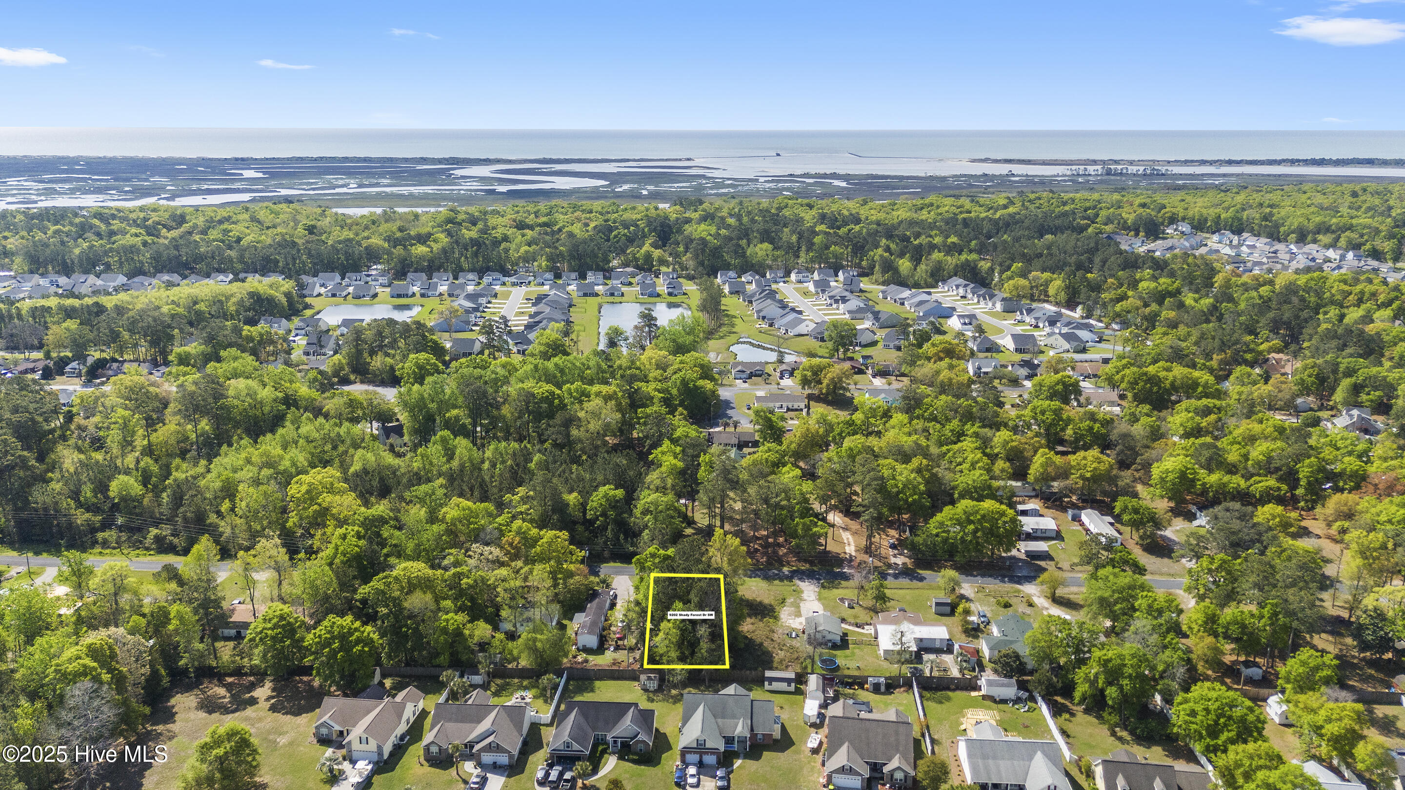 9202 Shady Forest Drive Property Photo 1