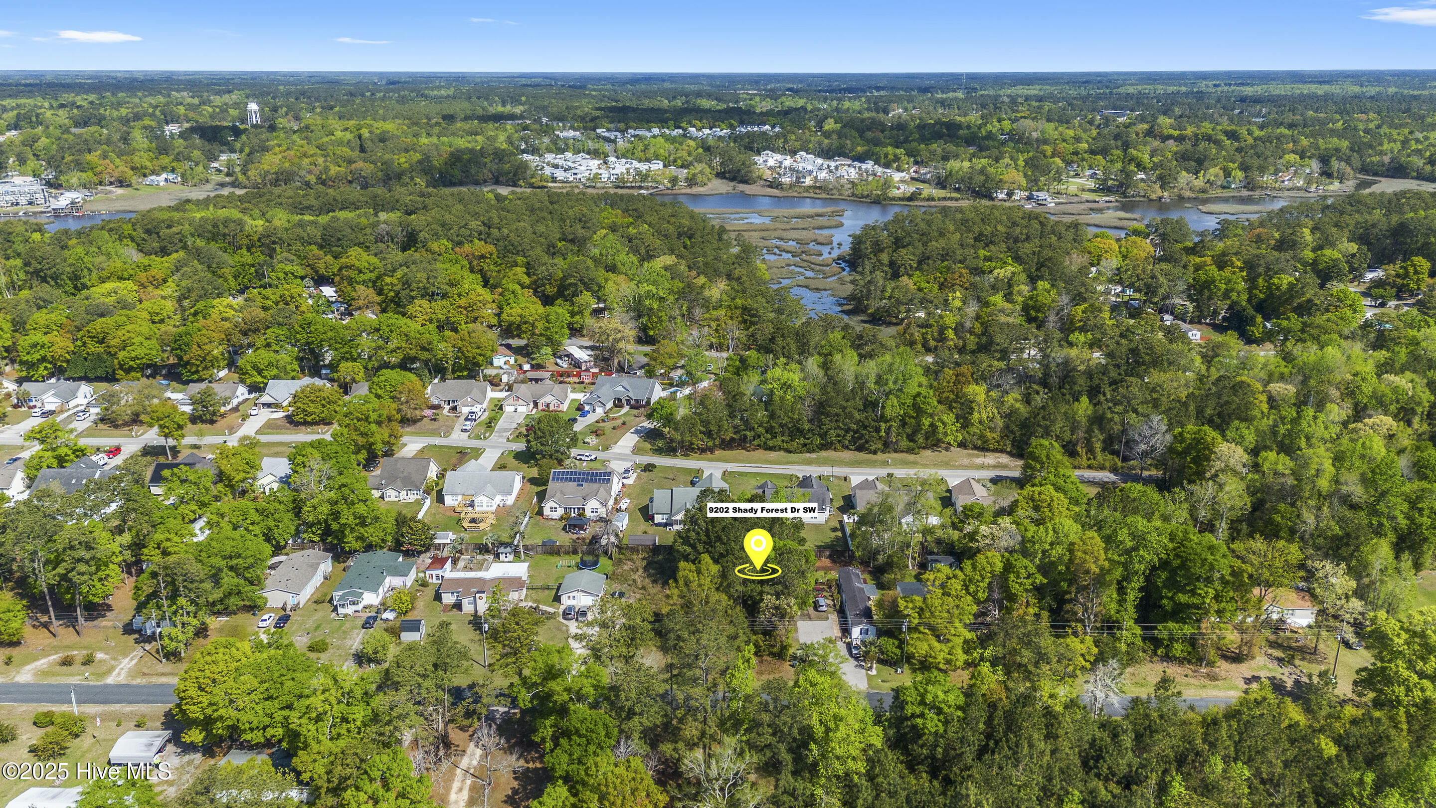 9202 Shady Forest Drive Property Photo 3