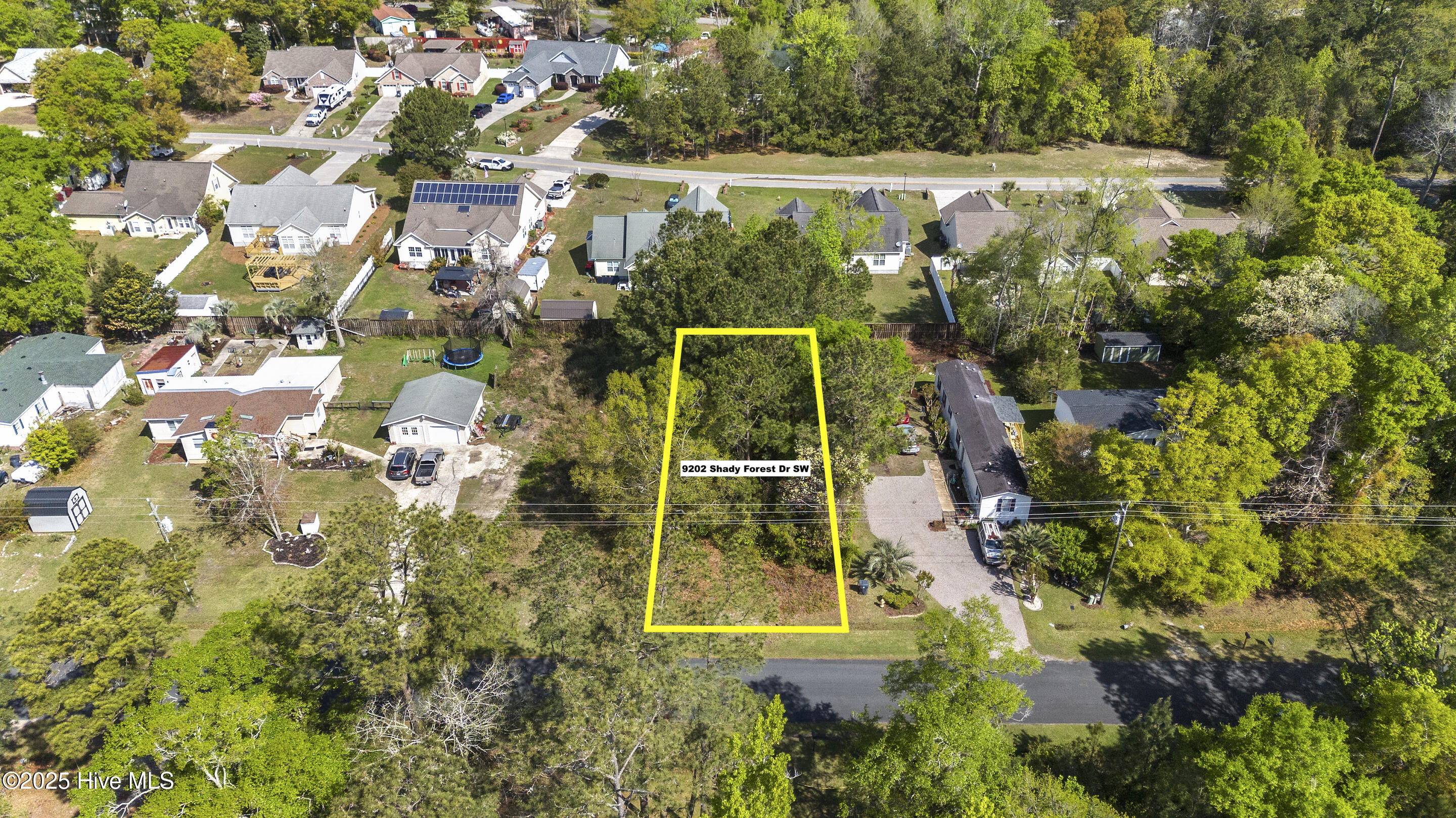 9202 Shady Forest Drive Property Photo 4