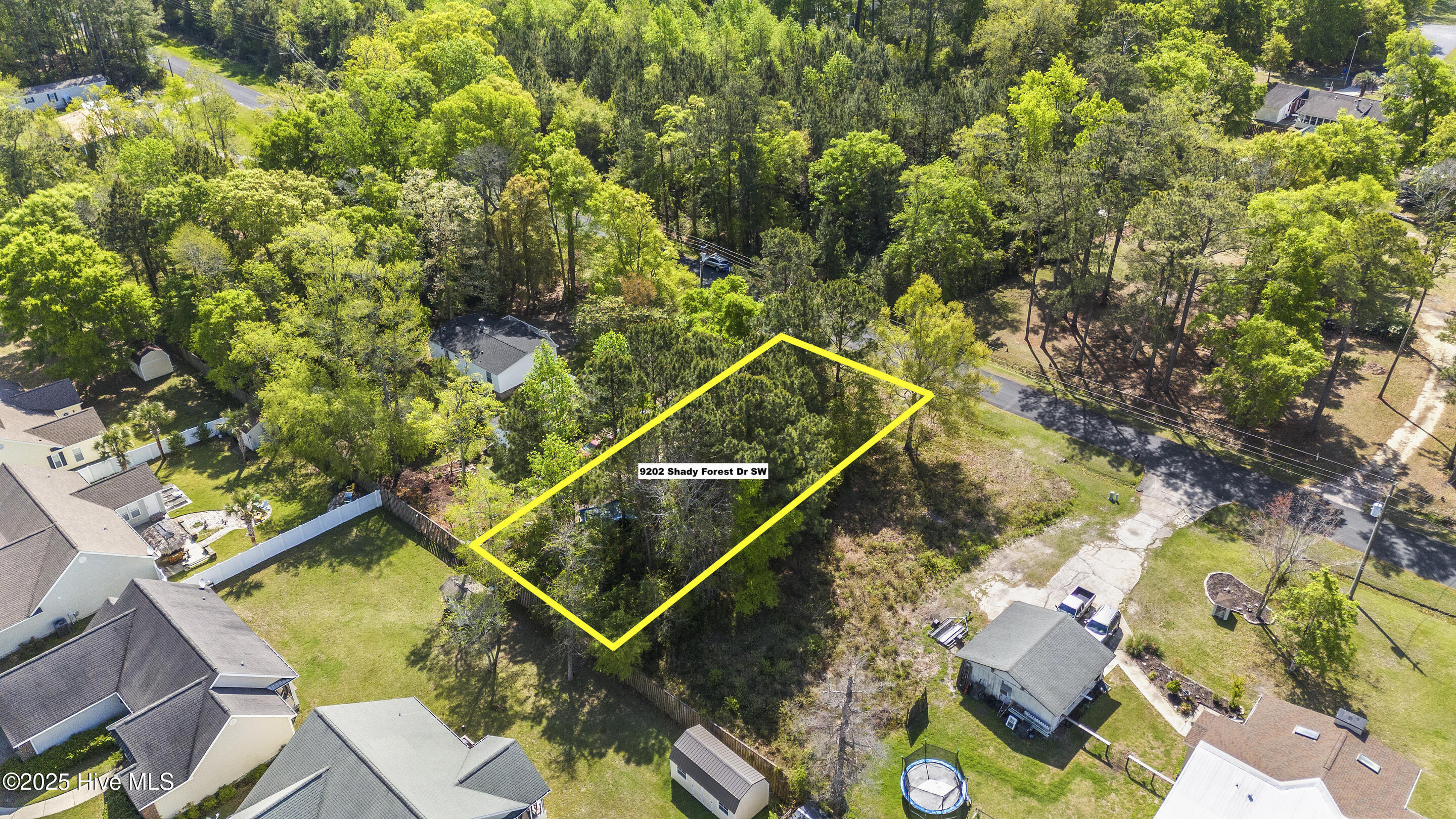 9202 Shady Forest Drive Property Photo 7