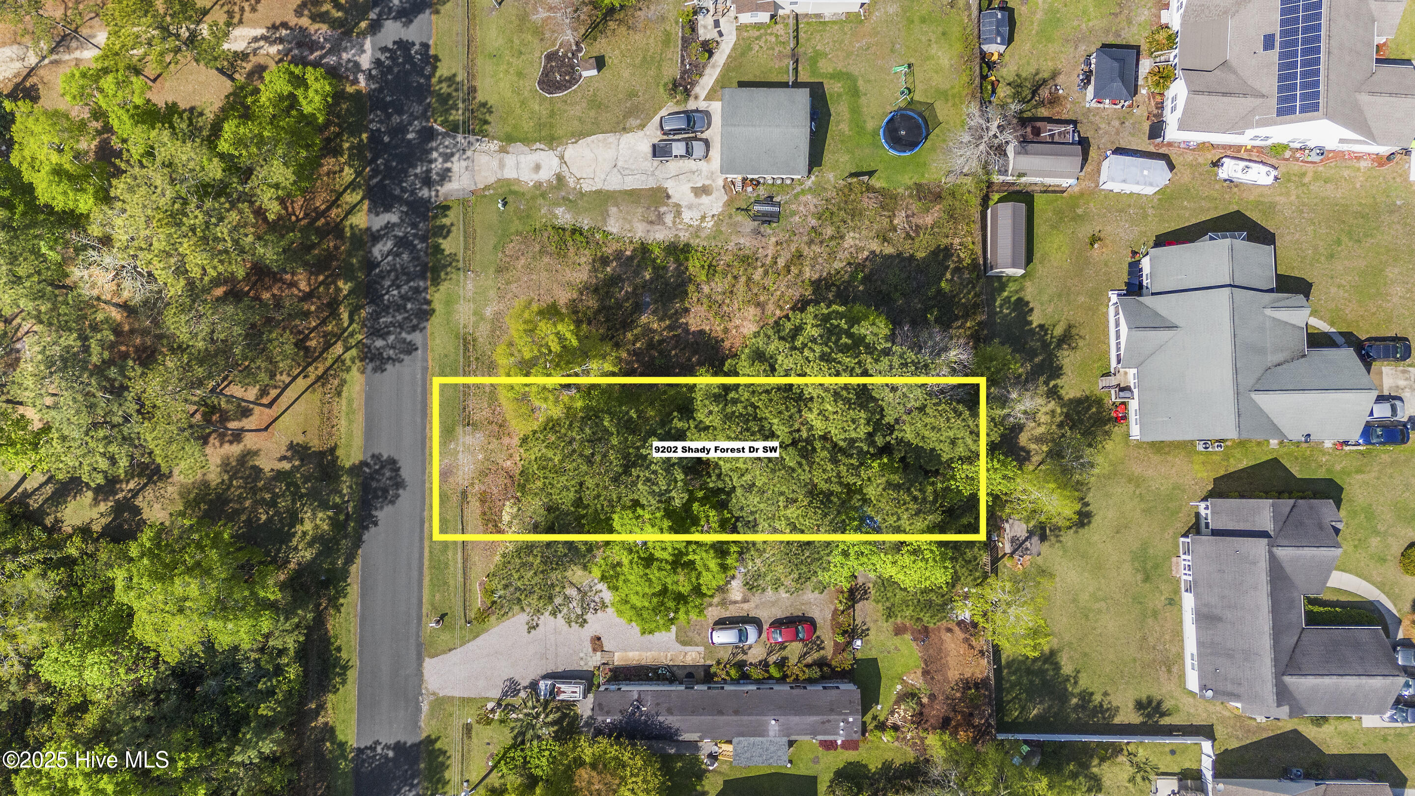 9202 Shady Forest Drive Property Photo 10