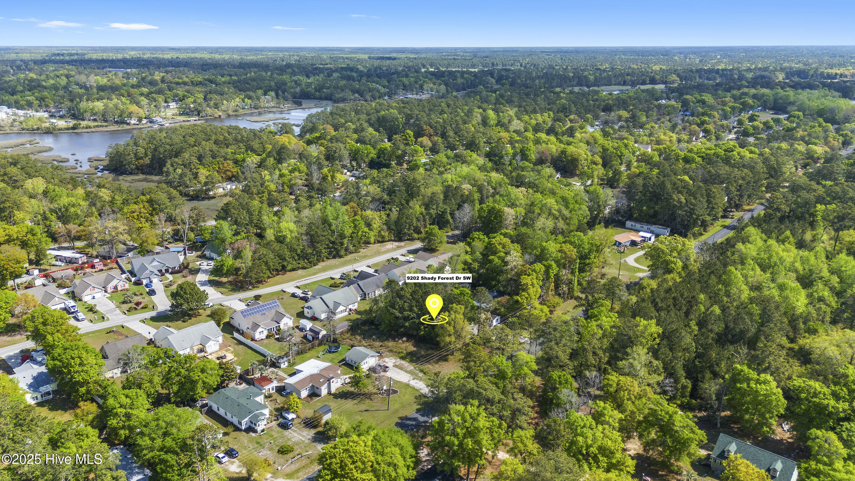 9202 Shady Forest Drive Property Photo 12