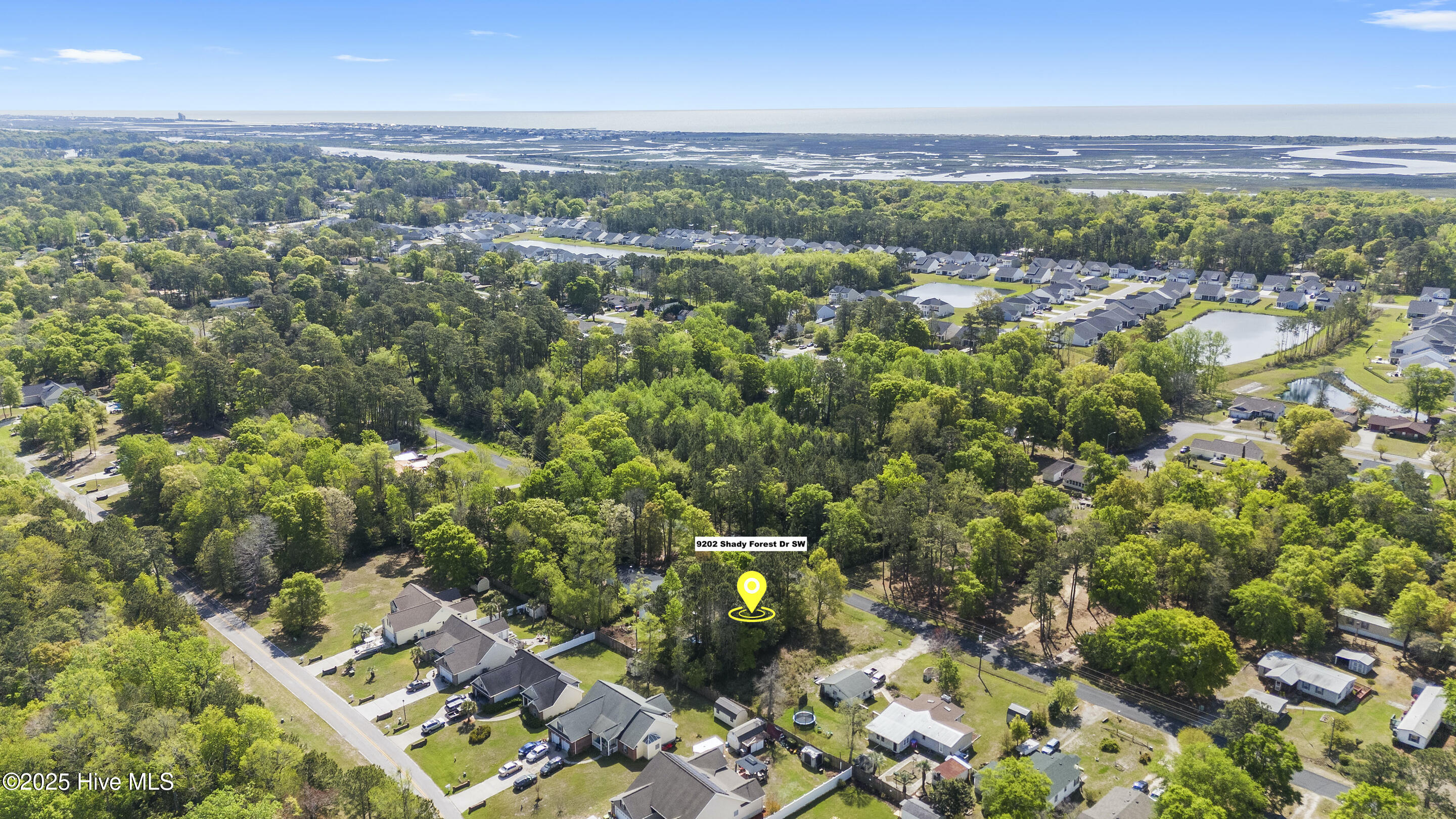 9202 Shady Forest Drive Property Photo 13