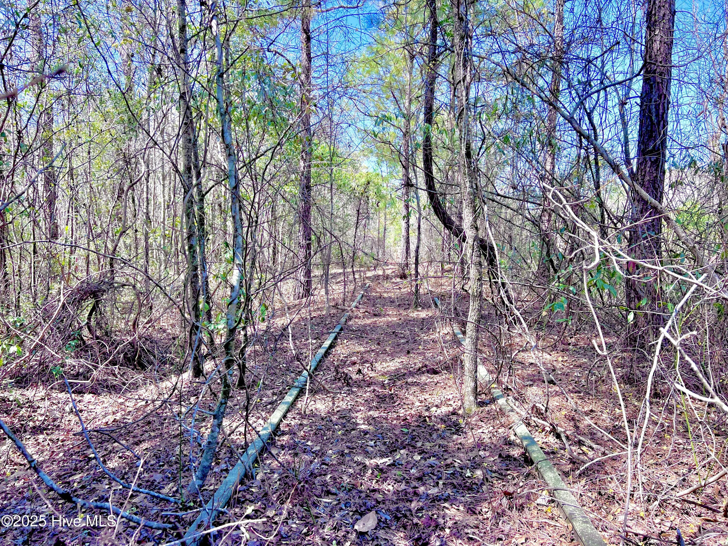 Tract 1 Saxon Avenue Property Photo 33