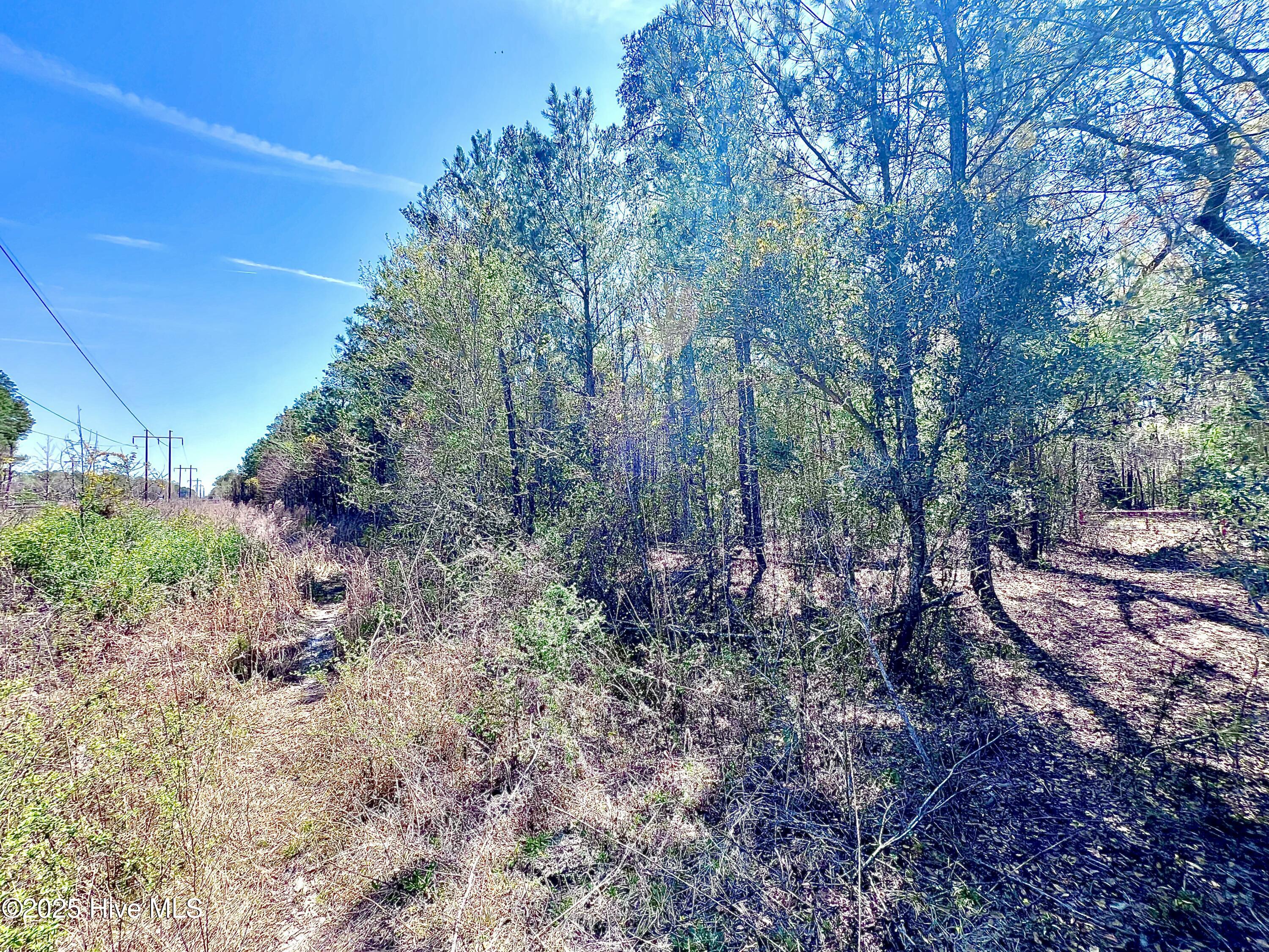 Tract 1 Saxon Avenue Property Photo 34