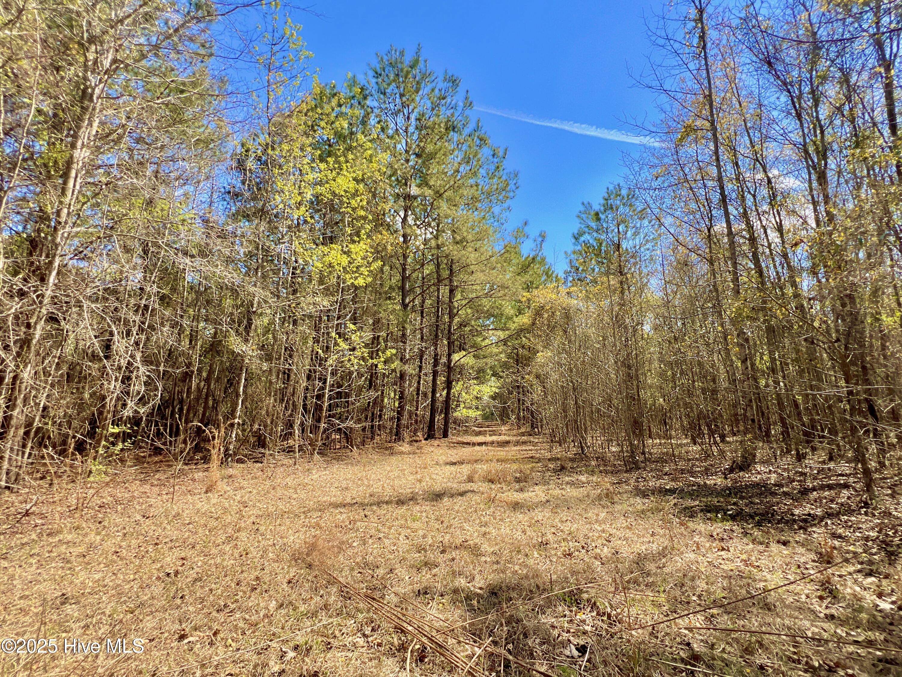 Tract 1 Saxon Avenue Property Photo 41