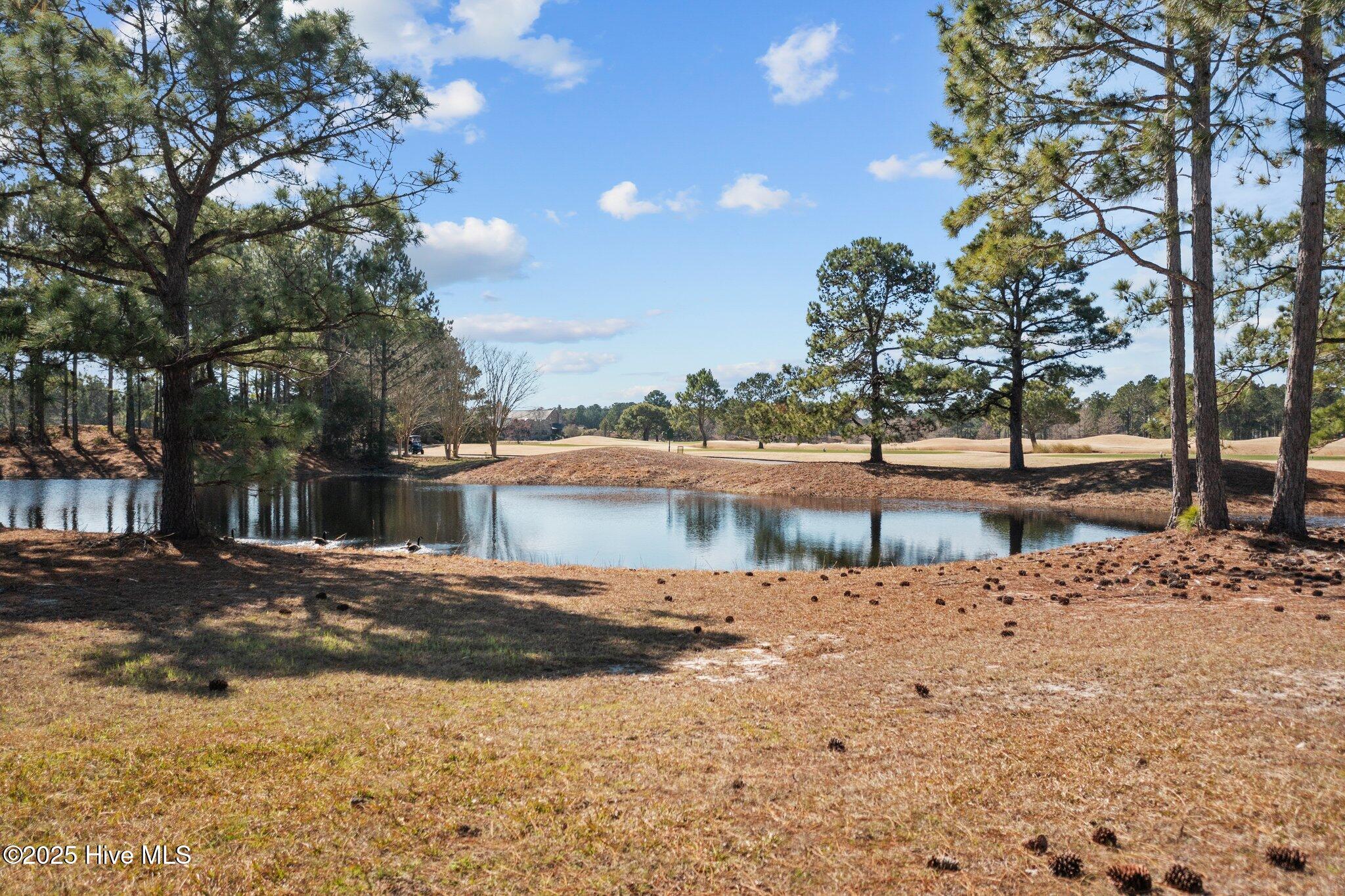 917 Strathaven Lane Property Photo 7