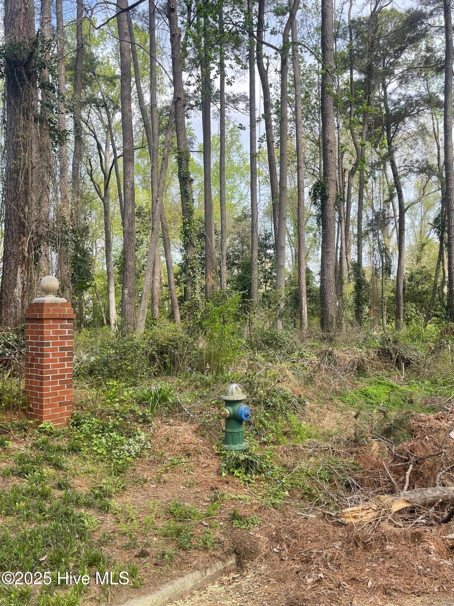 0 Sweetbriar Circle Property Photo 10