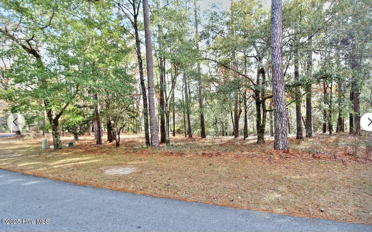 3033 Island Drive Property Photo 3