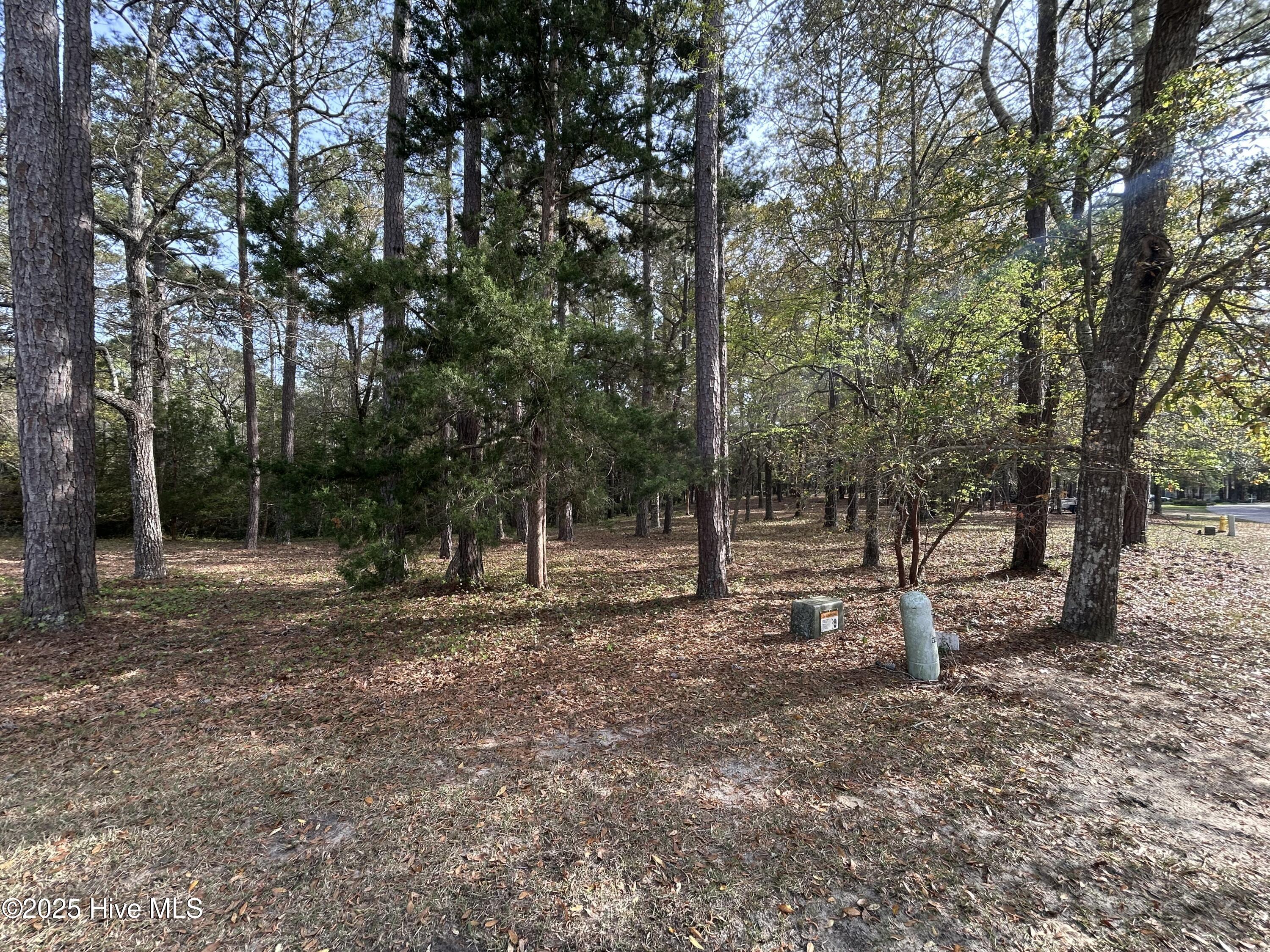 3033 Island Drive Property Photo 5