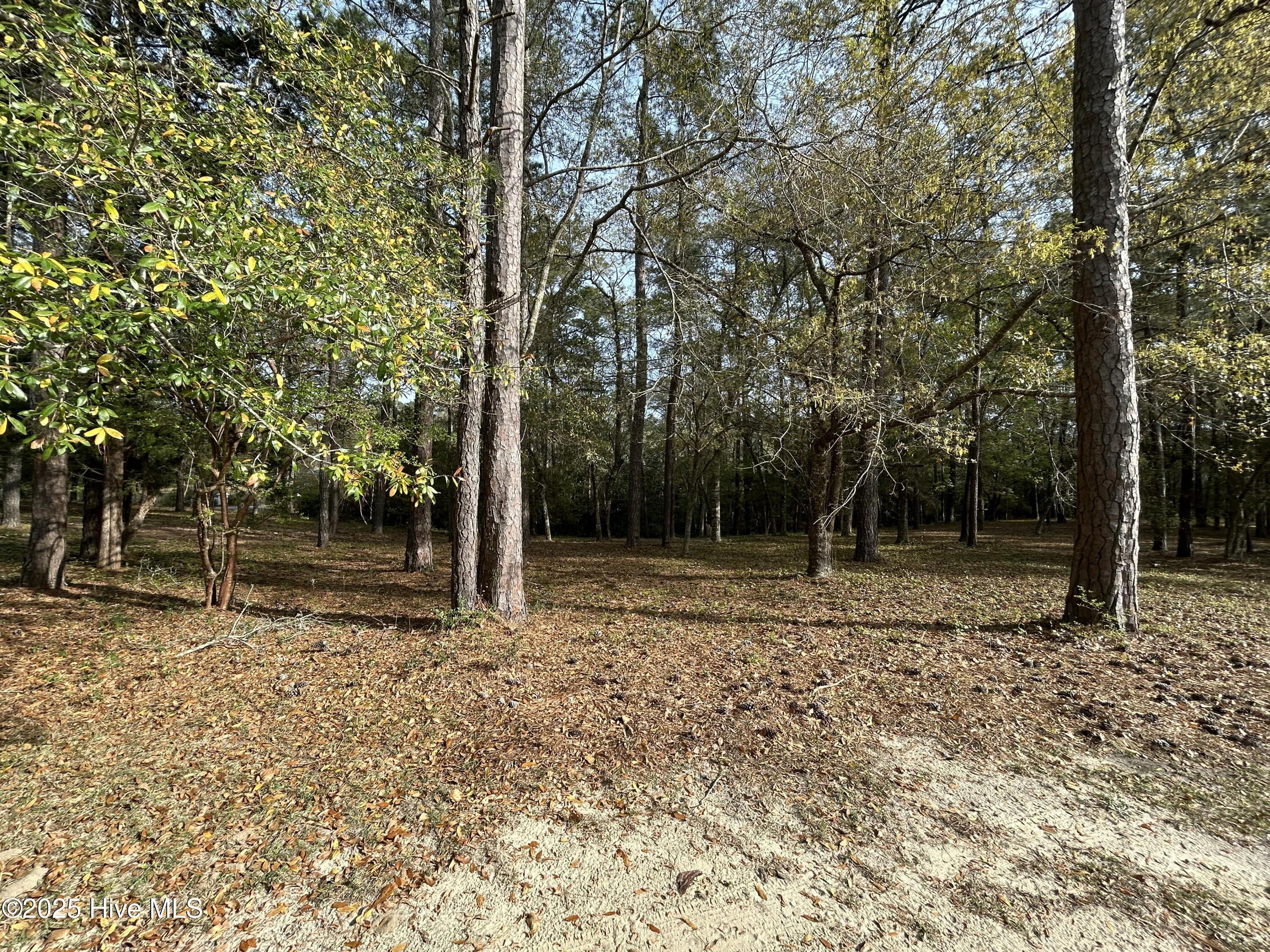 3033 Island Drive Property Photo 6