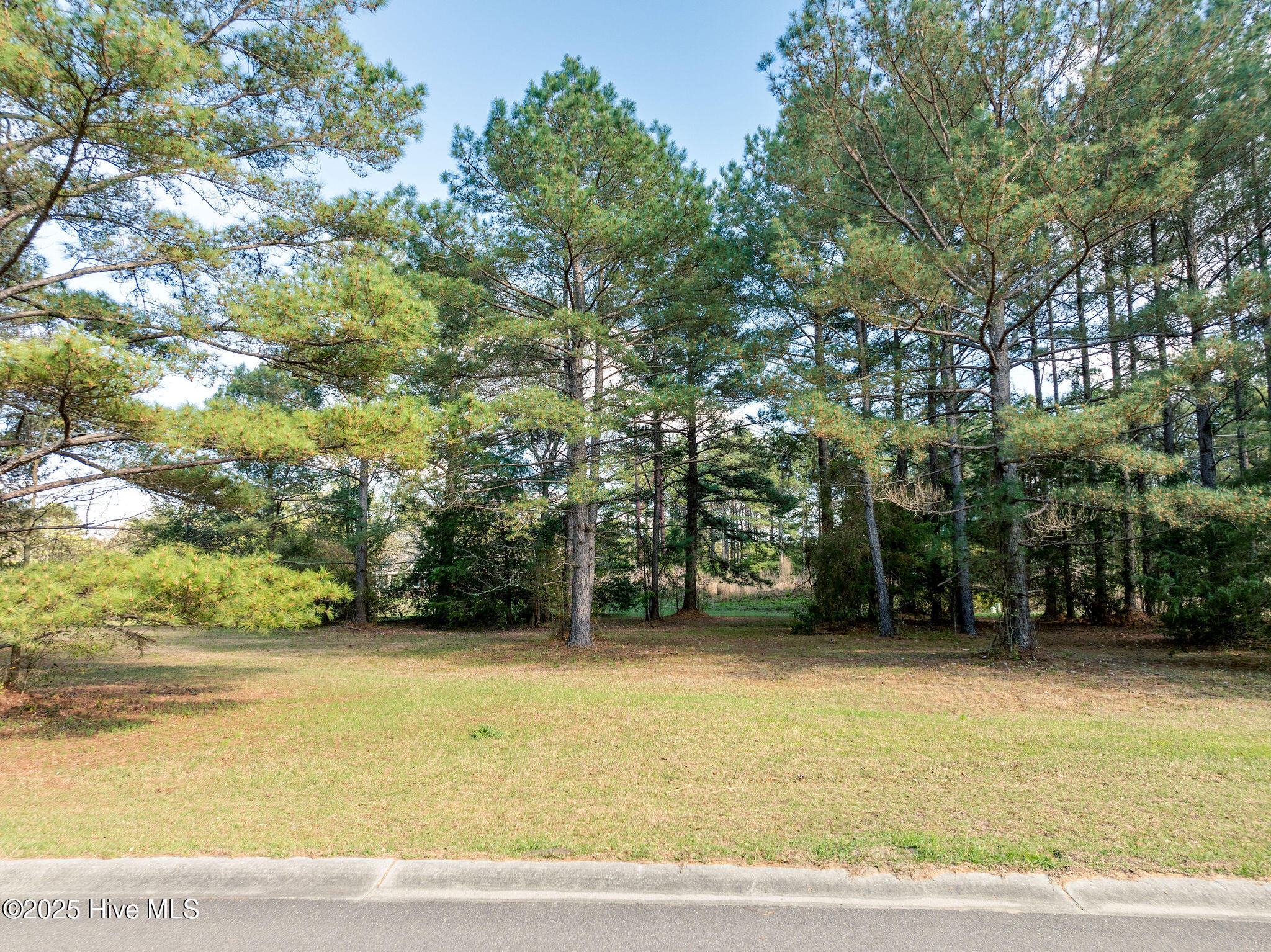 117 Cedar Point Drive Property Photo 6