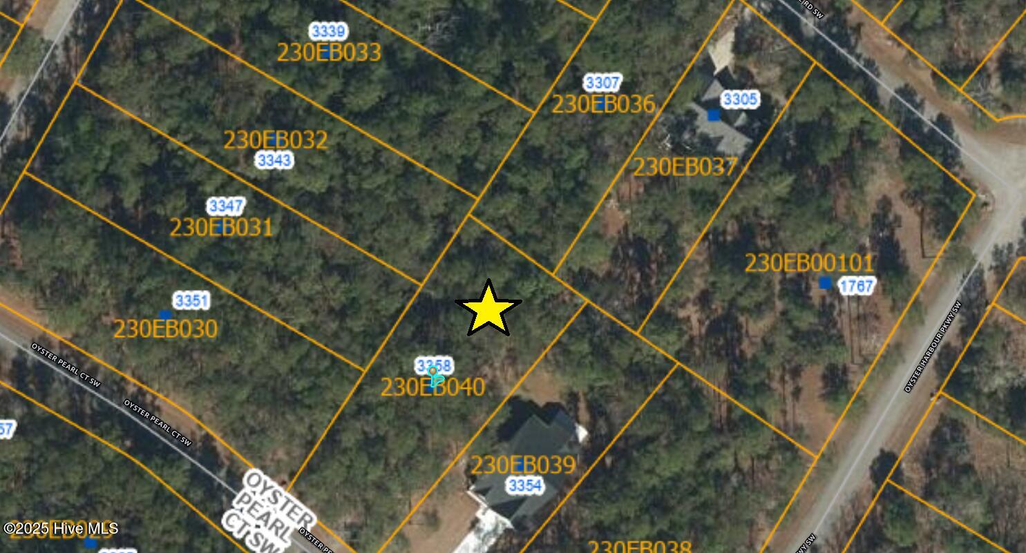 3358 Oyster Pearl Court Property Photo 1