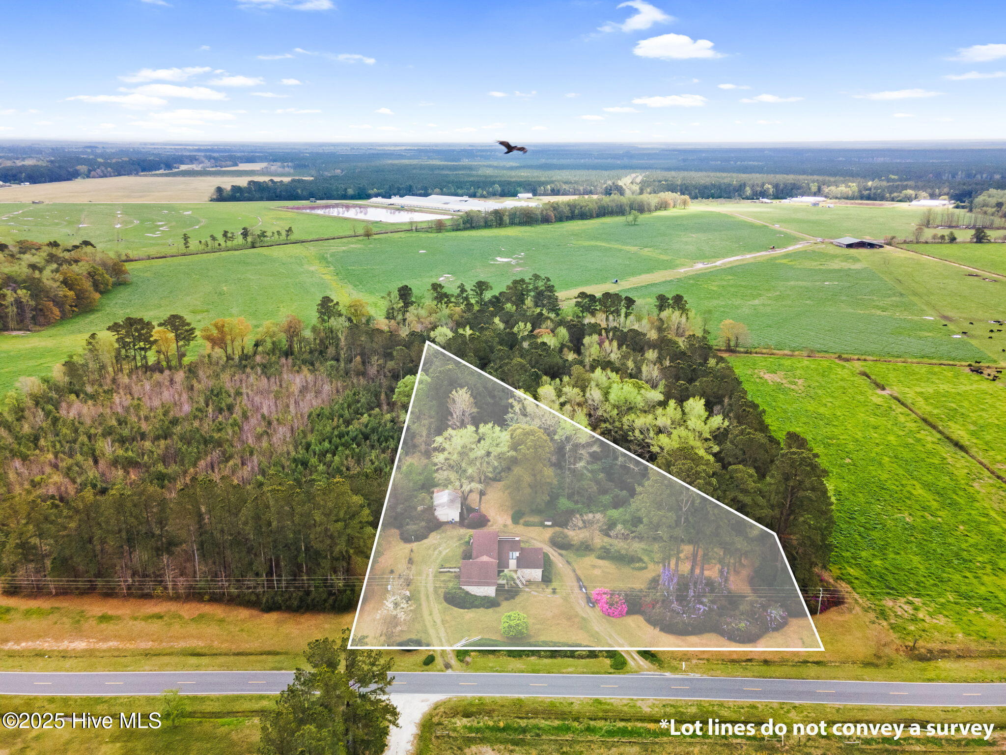 2781 Exum Road Property Photo 52