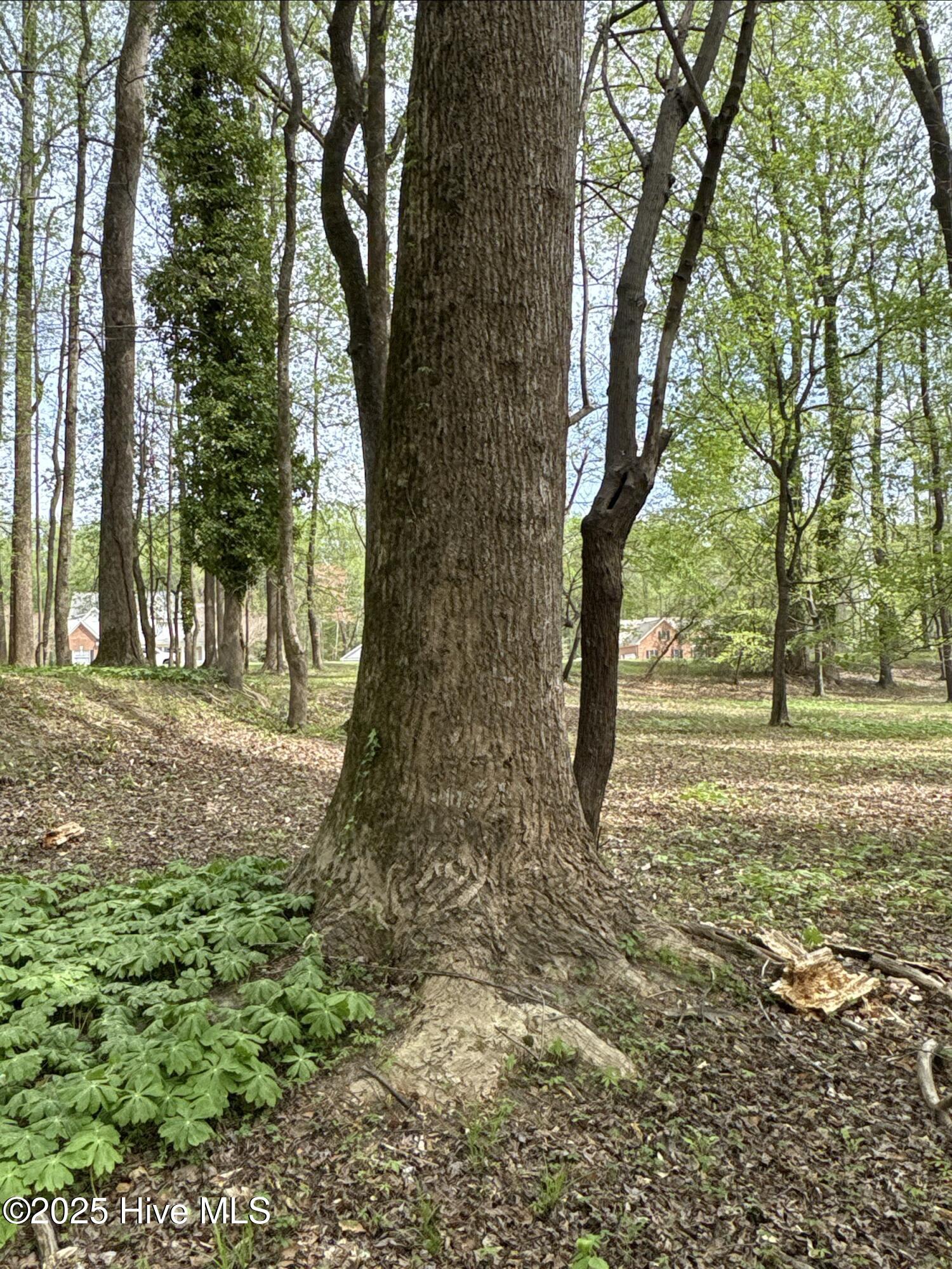 212 Tree Shade Drive Property Photo