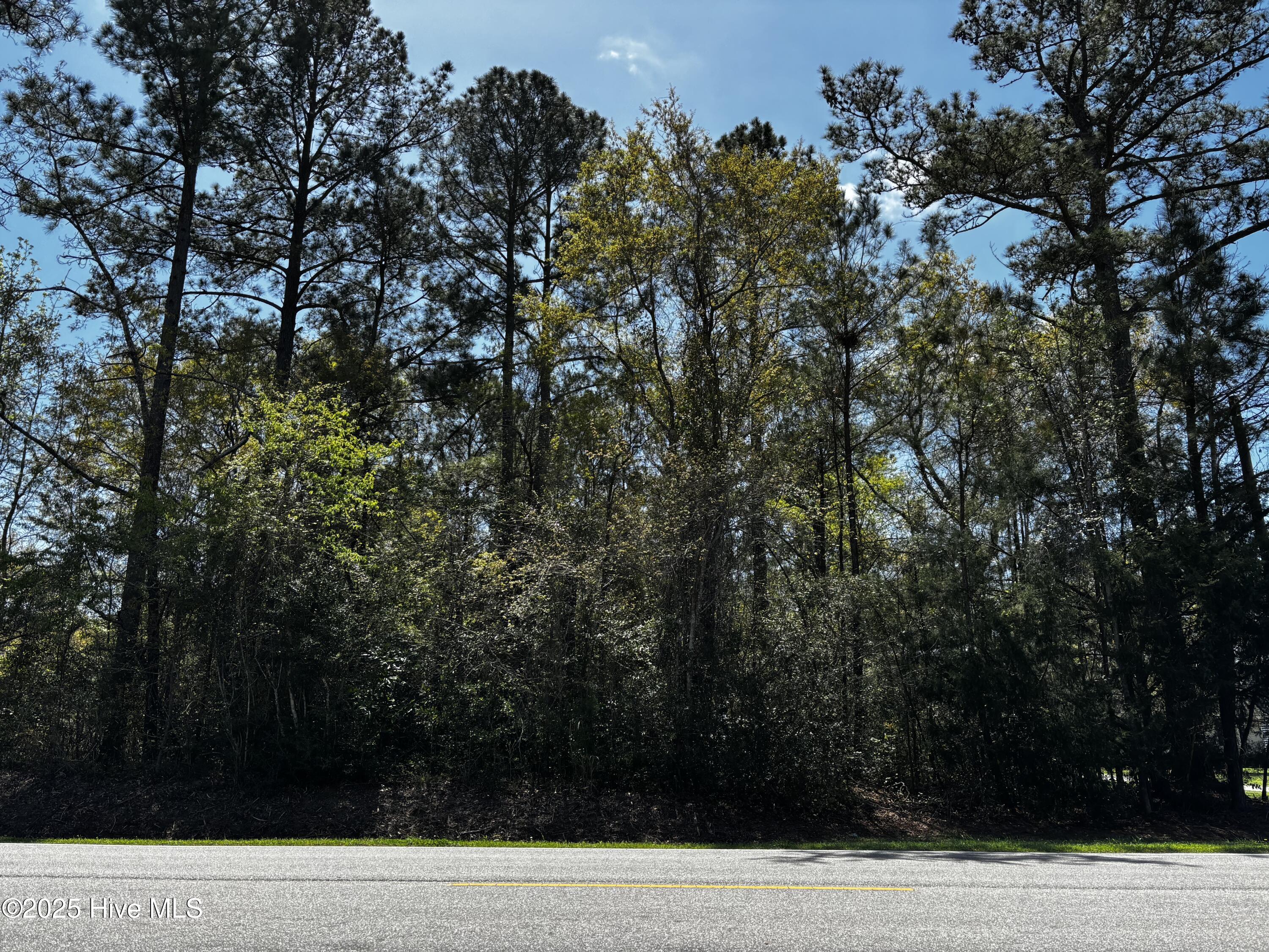 6113 Old Shallotte Road Property Photo 1
