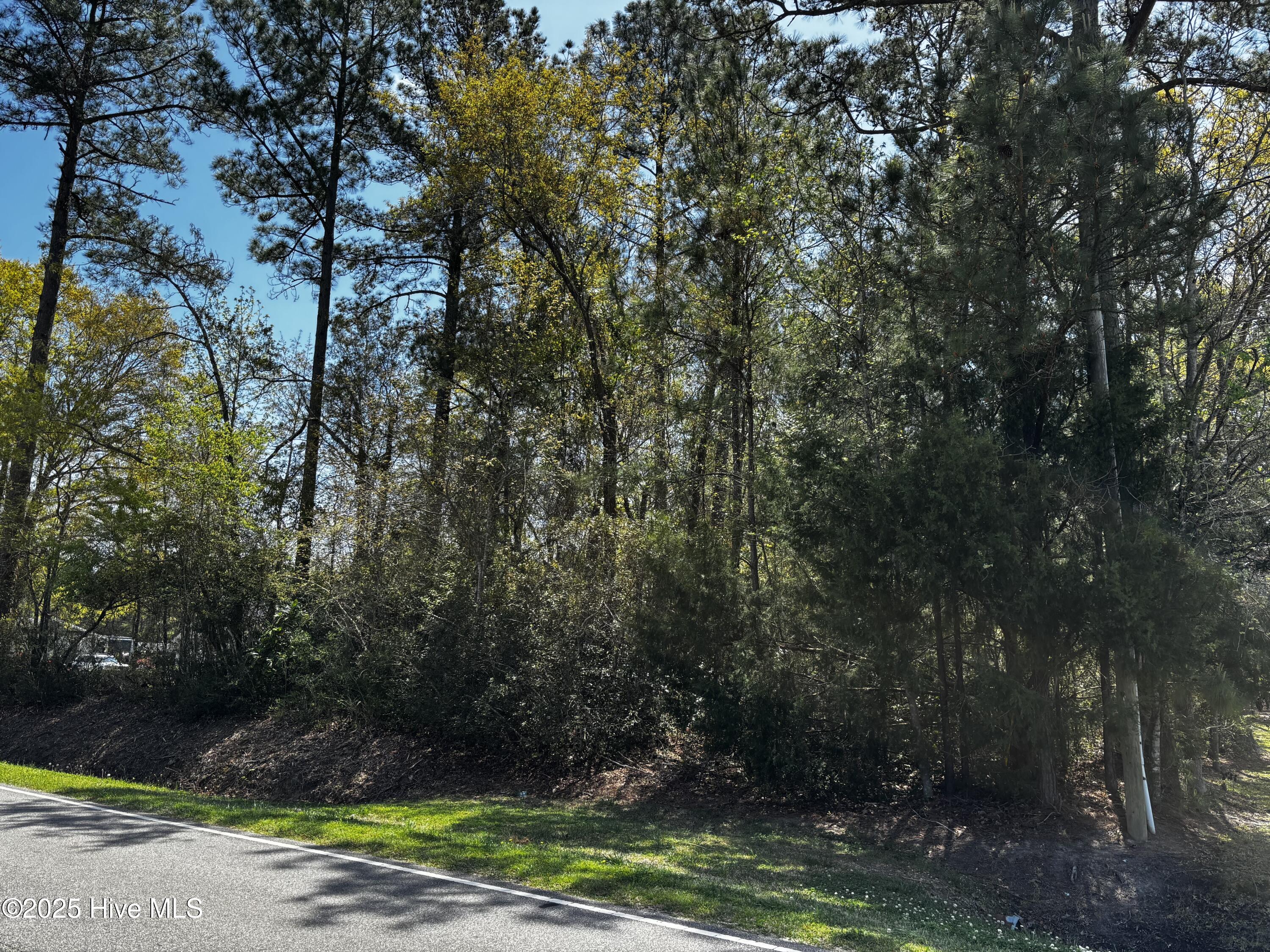 6113 Old Shallotte Road Property Photo 4
