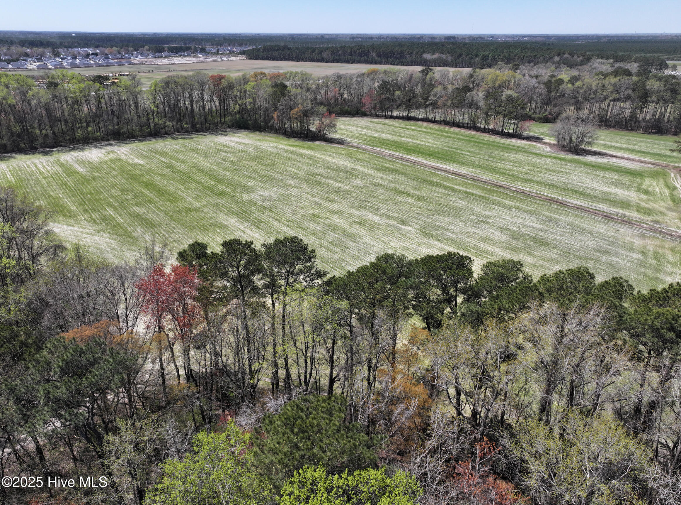 0 Allen Road Property Photo 5