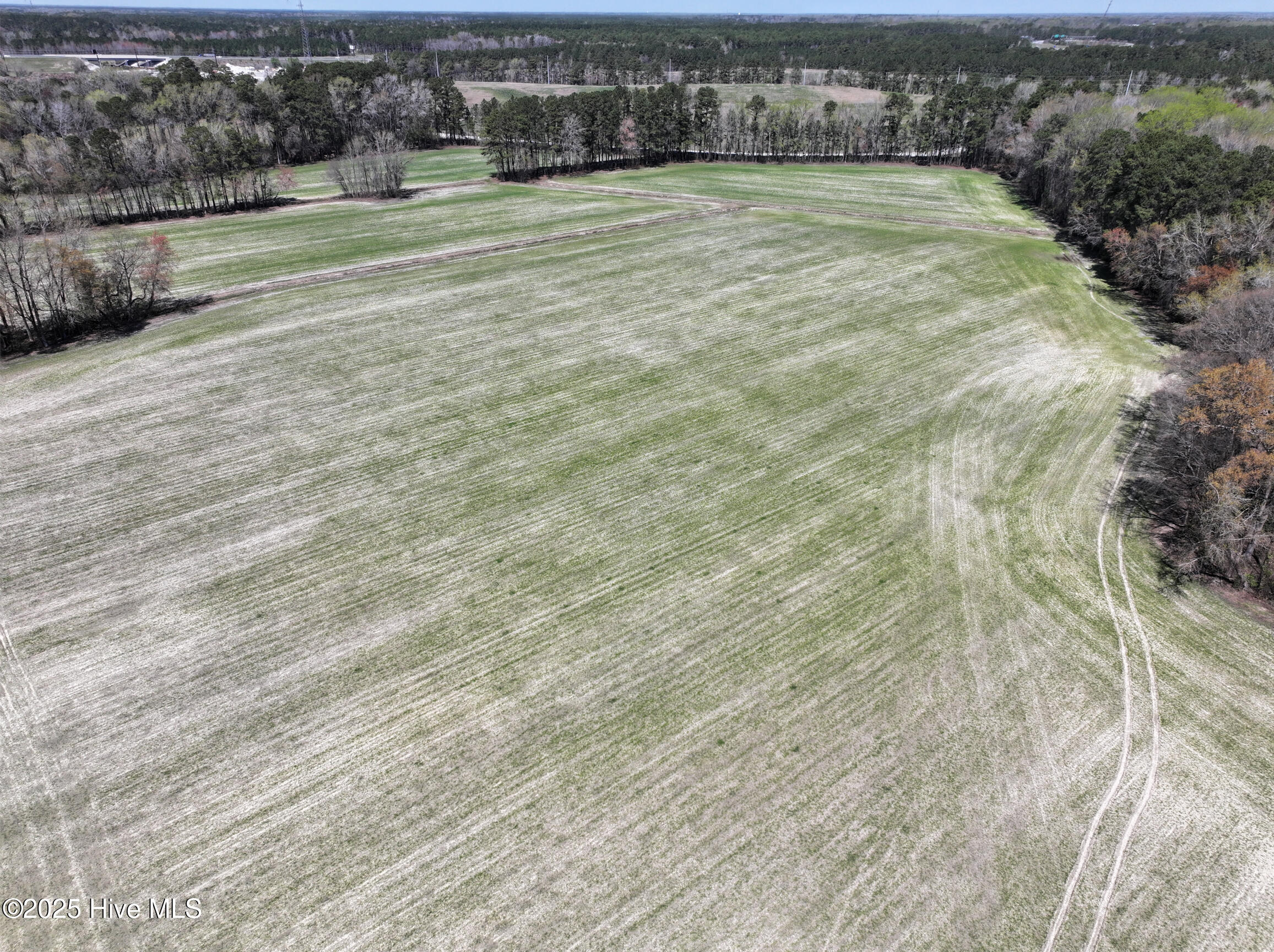 0 Allen Road Property Photo 6