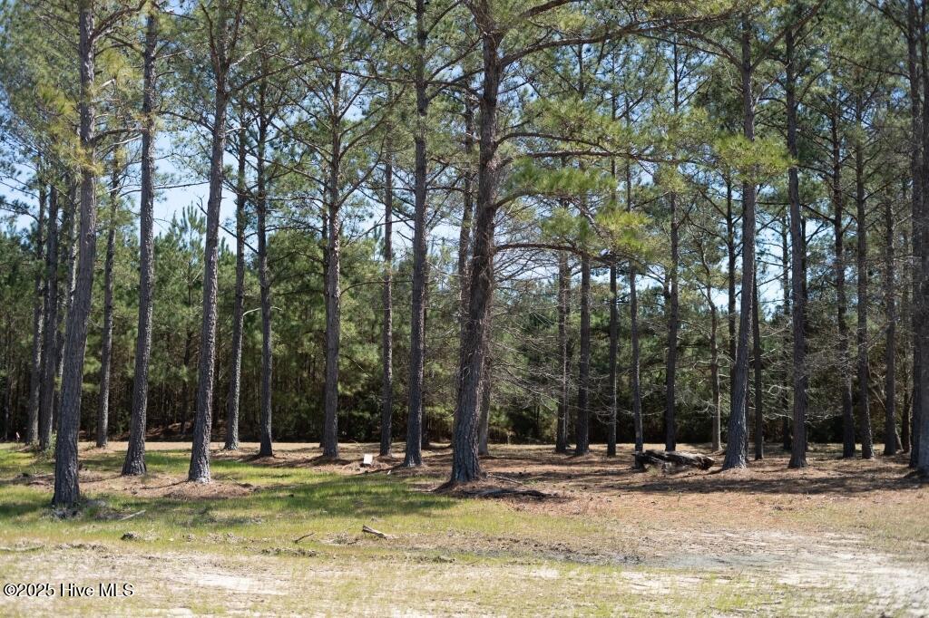 1069 Tinton Point Property Photo 1
