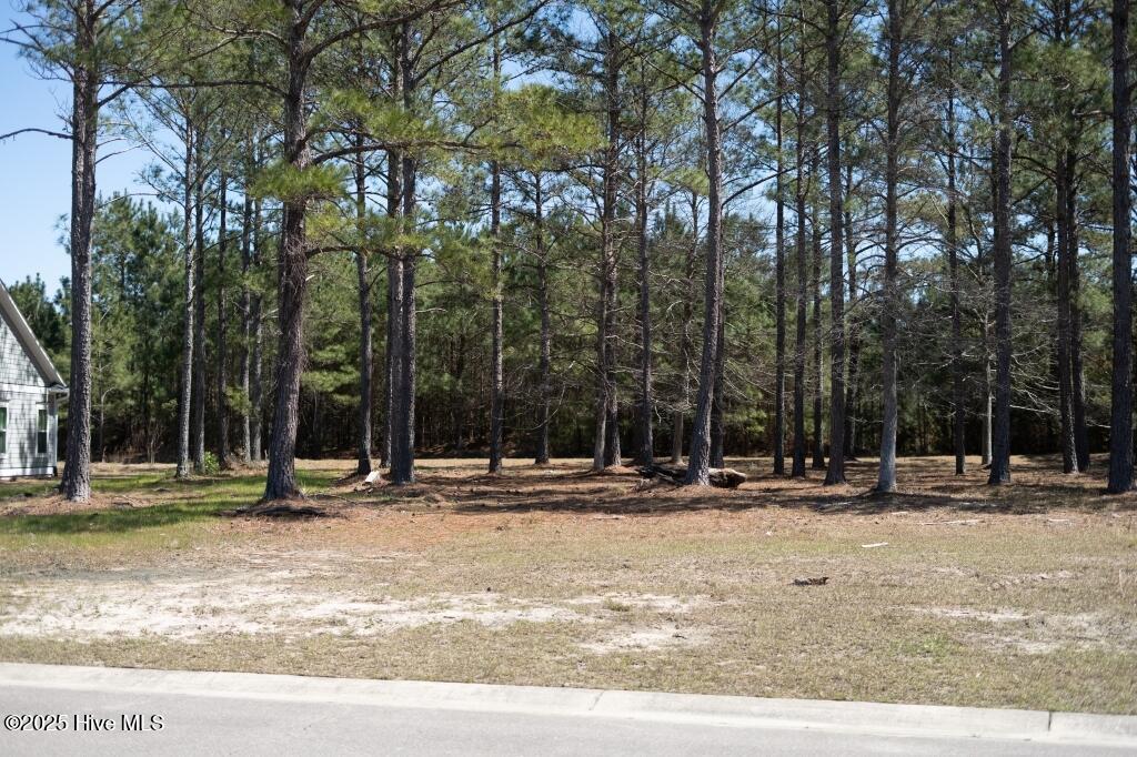 1069 Tinton Point Property Photo 3