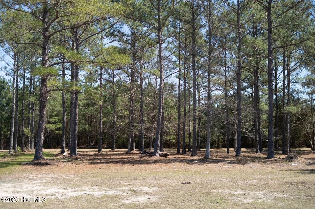 1069 Tinton Point Property Photo 4